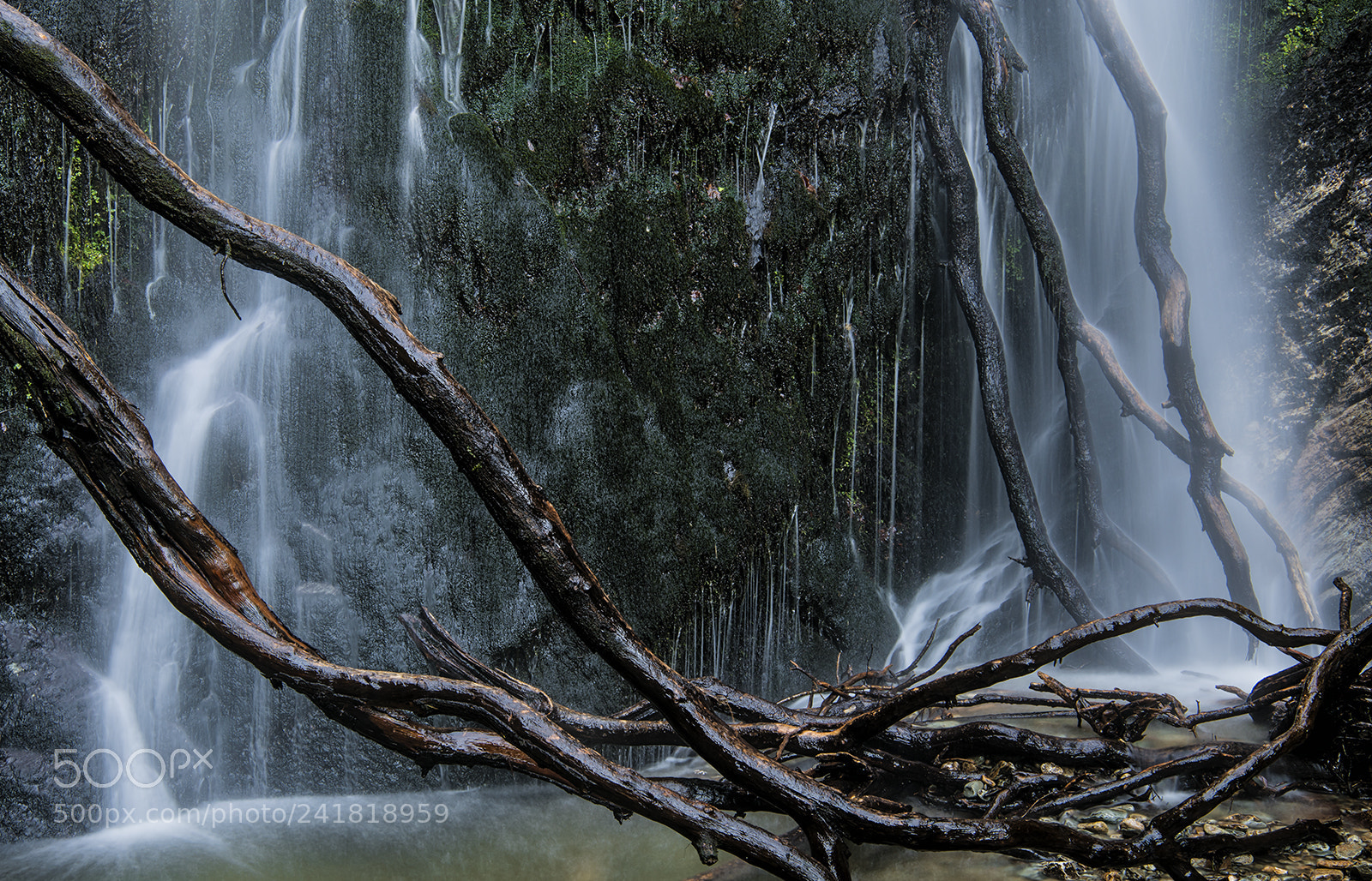 Nikon D850 sample photo. Dhoon glen, isle of photography