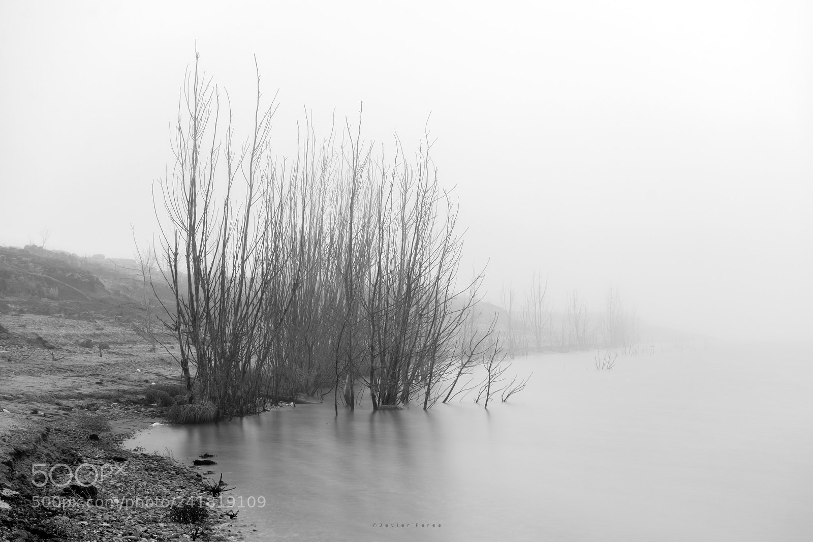Nikon D7100 sample photo. Fog photography