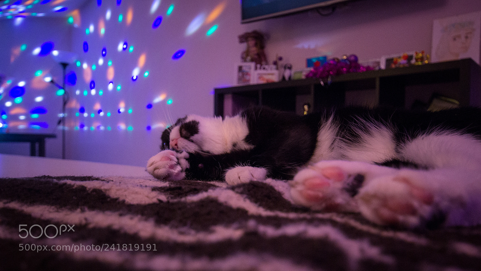 Canon EOS 600D (Rebel EOS T3i / EOS Kiss X5) sample photo. Чучи/chichi photography