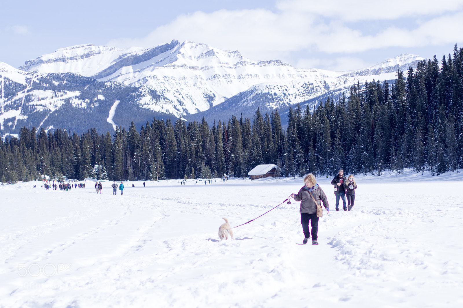 Pentax K-S2 sample photo. Icy lake louise 4 photography