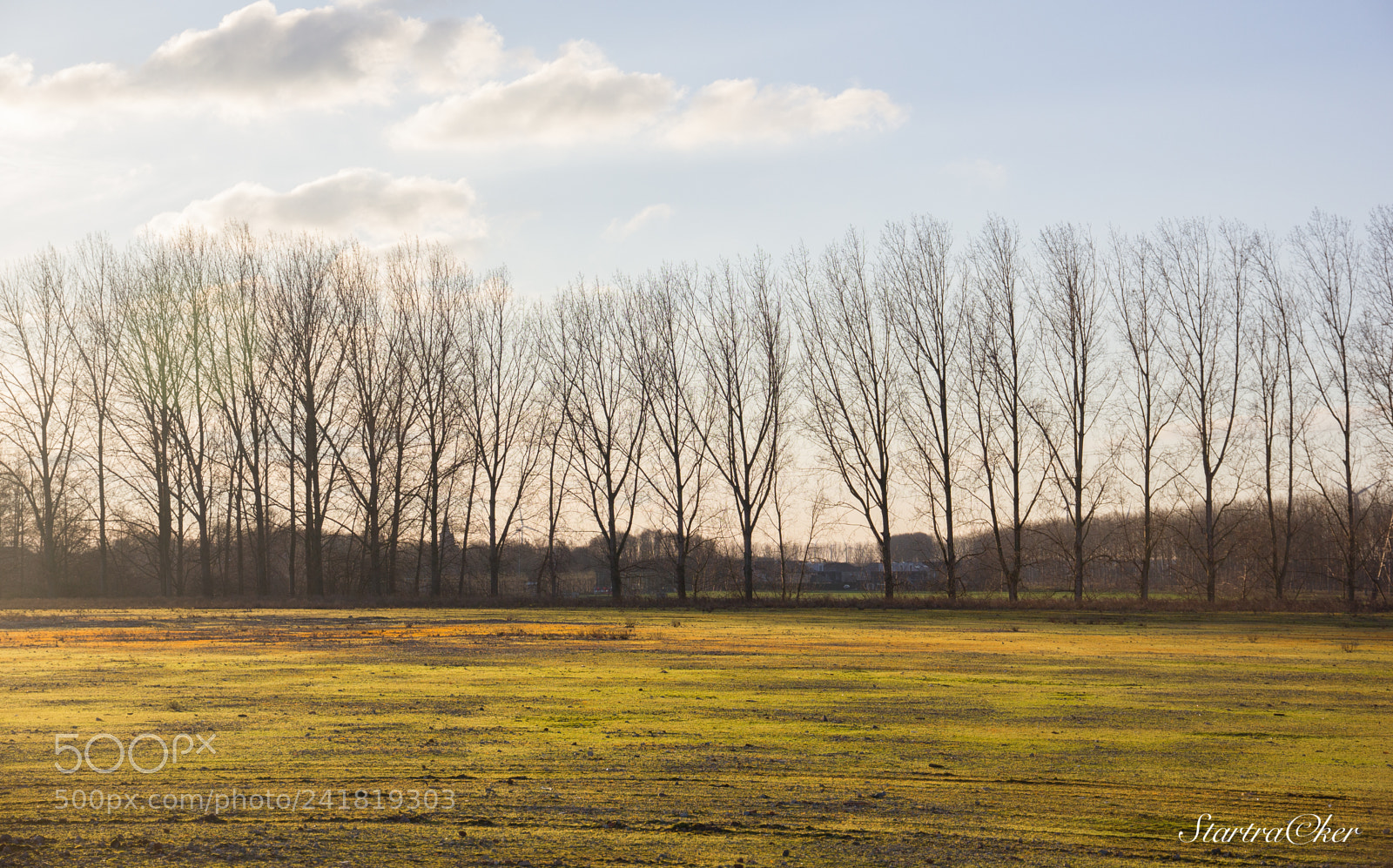 Canon EOS 550D (EOS Rebel T2i / EOS Kiss X4) sample photo. Coloured soil! photography