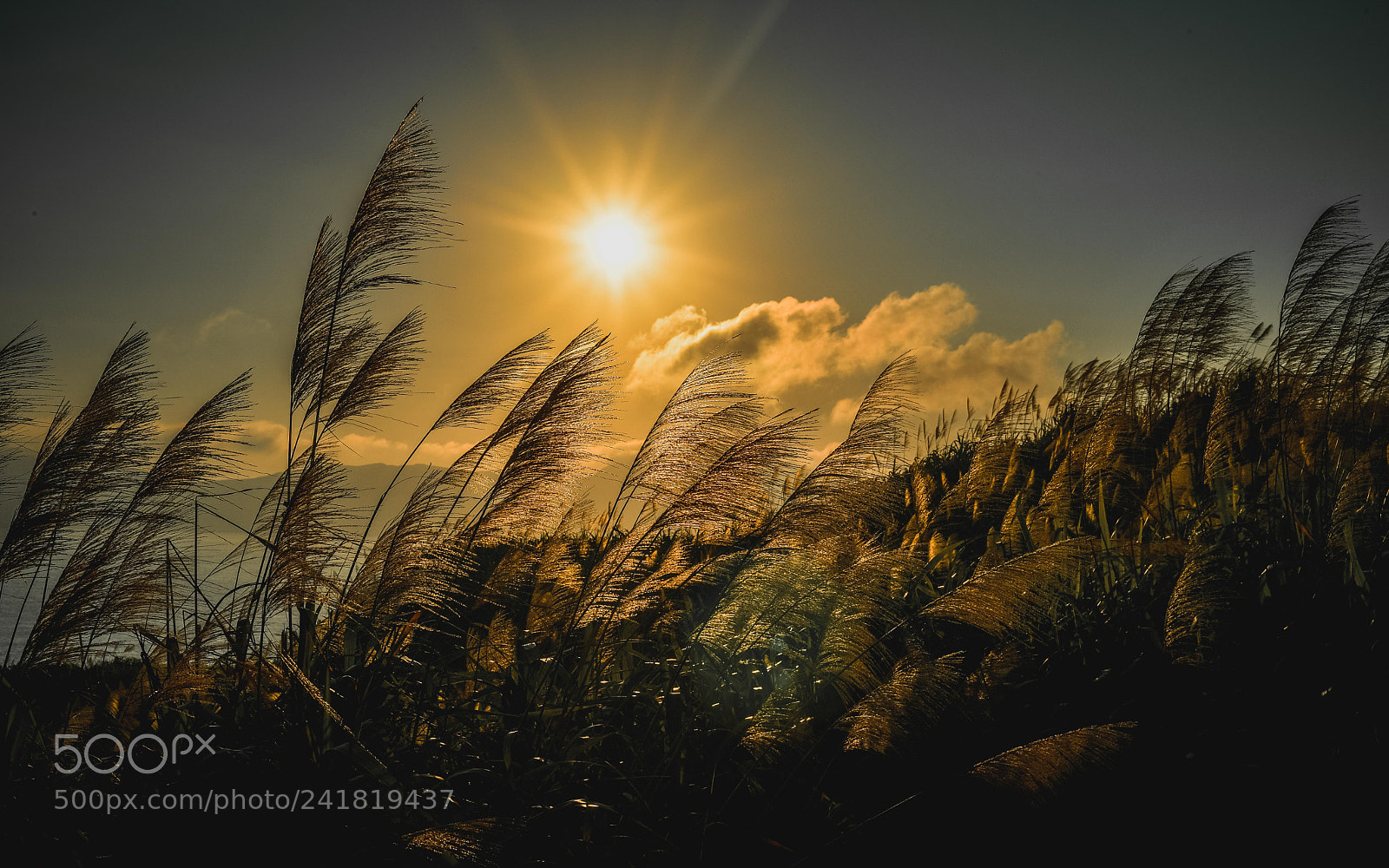 Nikon D5 sample photo. Island sunset photography