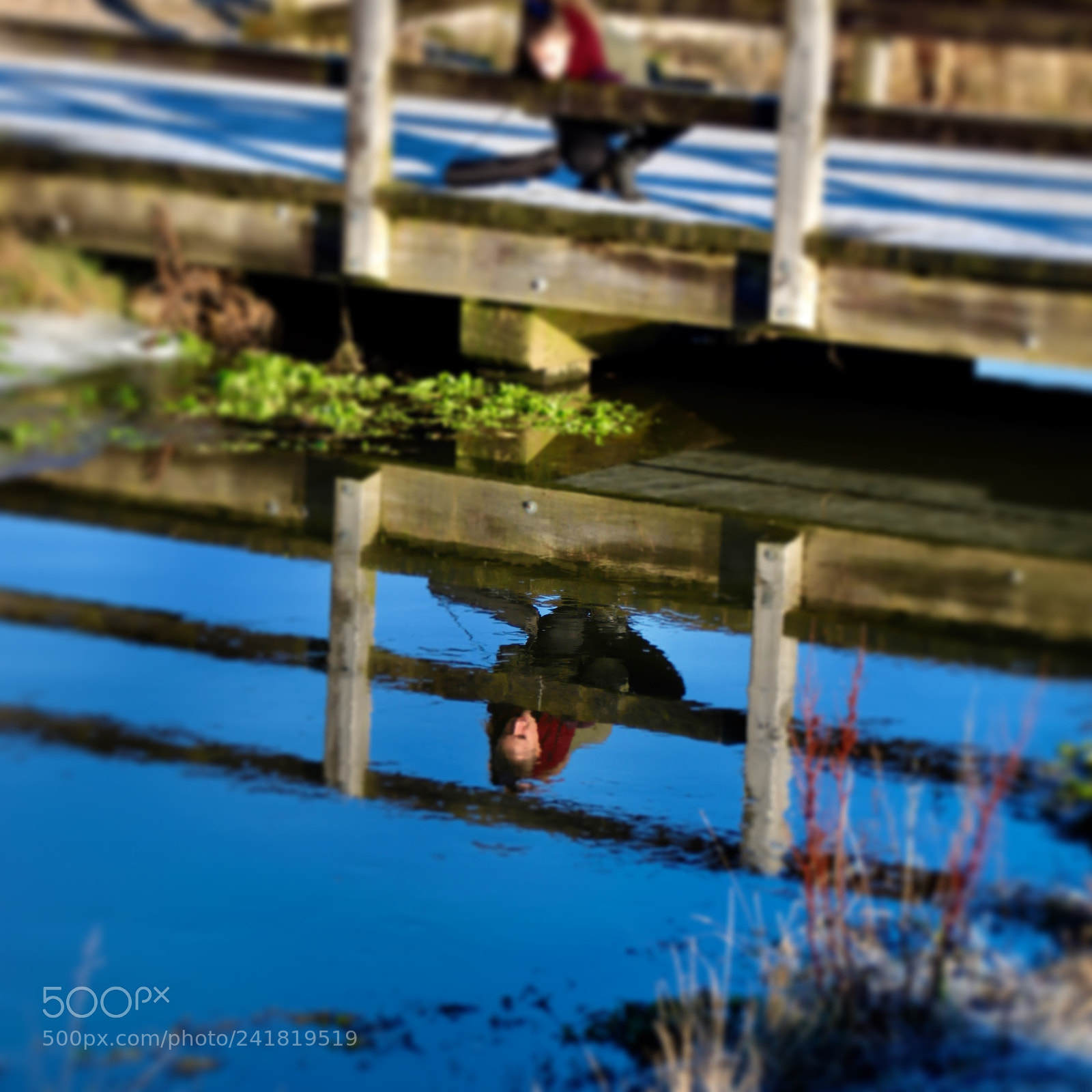 Canon EOS 77D (EOS 9000D / EOS 770D) sample photo. Look under the bridge photography