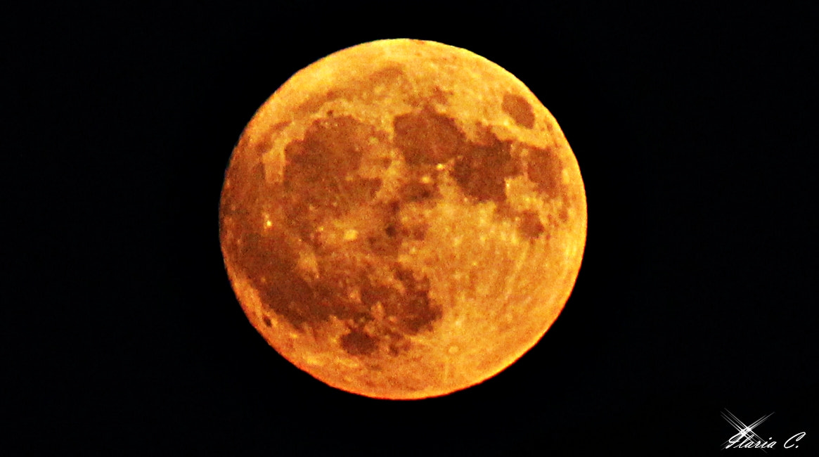 Canon EF-S 55-250mm F4-5.6 IS II sample photo. Moon photography