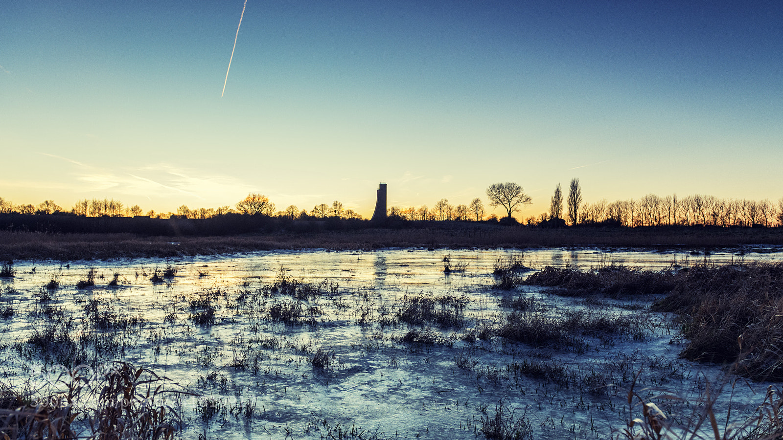 Nikon D850 sample photo. Frost - for the photography