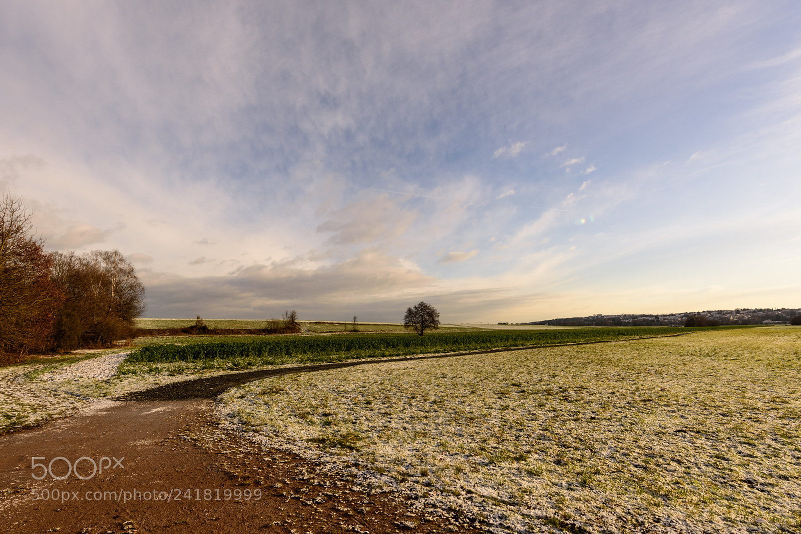 Nikon D810 sample photo. Late autumn walk photography