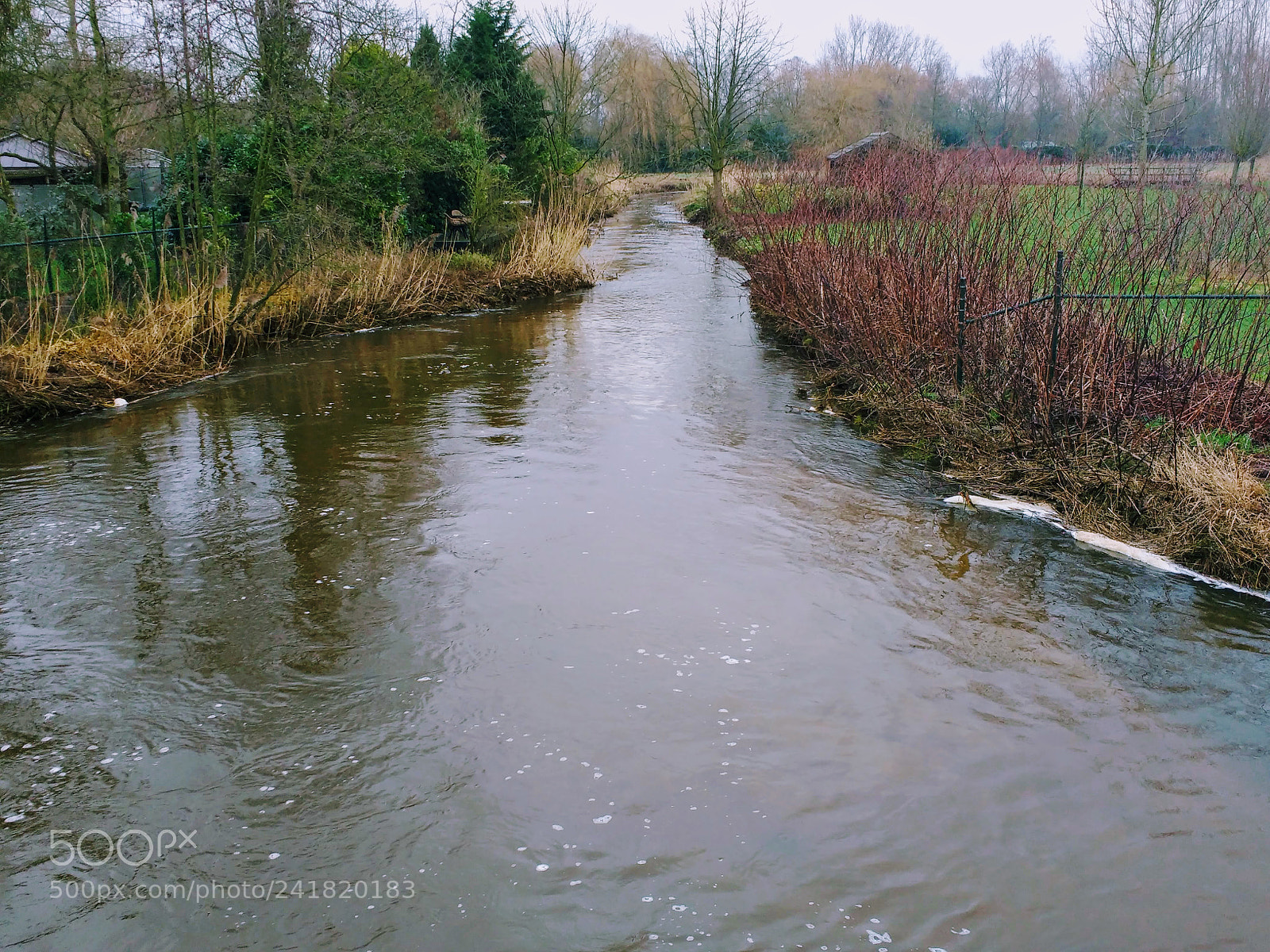 Motorola MotoG3 sample photo. Hoge waterstand photography