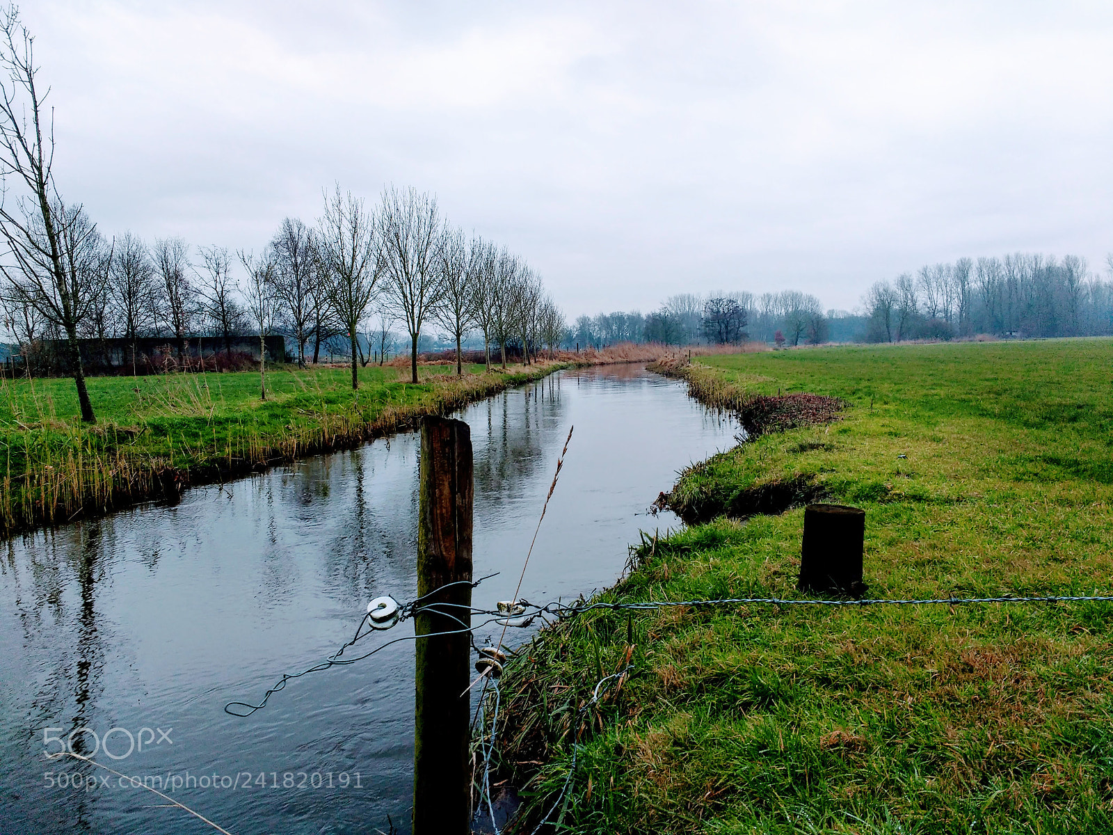 Motorola MotoG3 sample photo. Dommel in dommelen photography