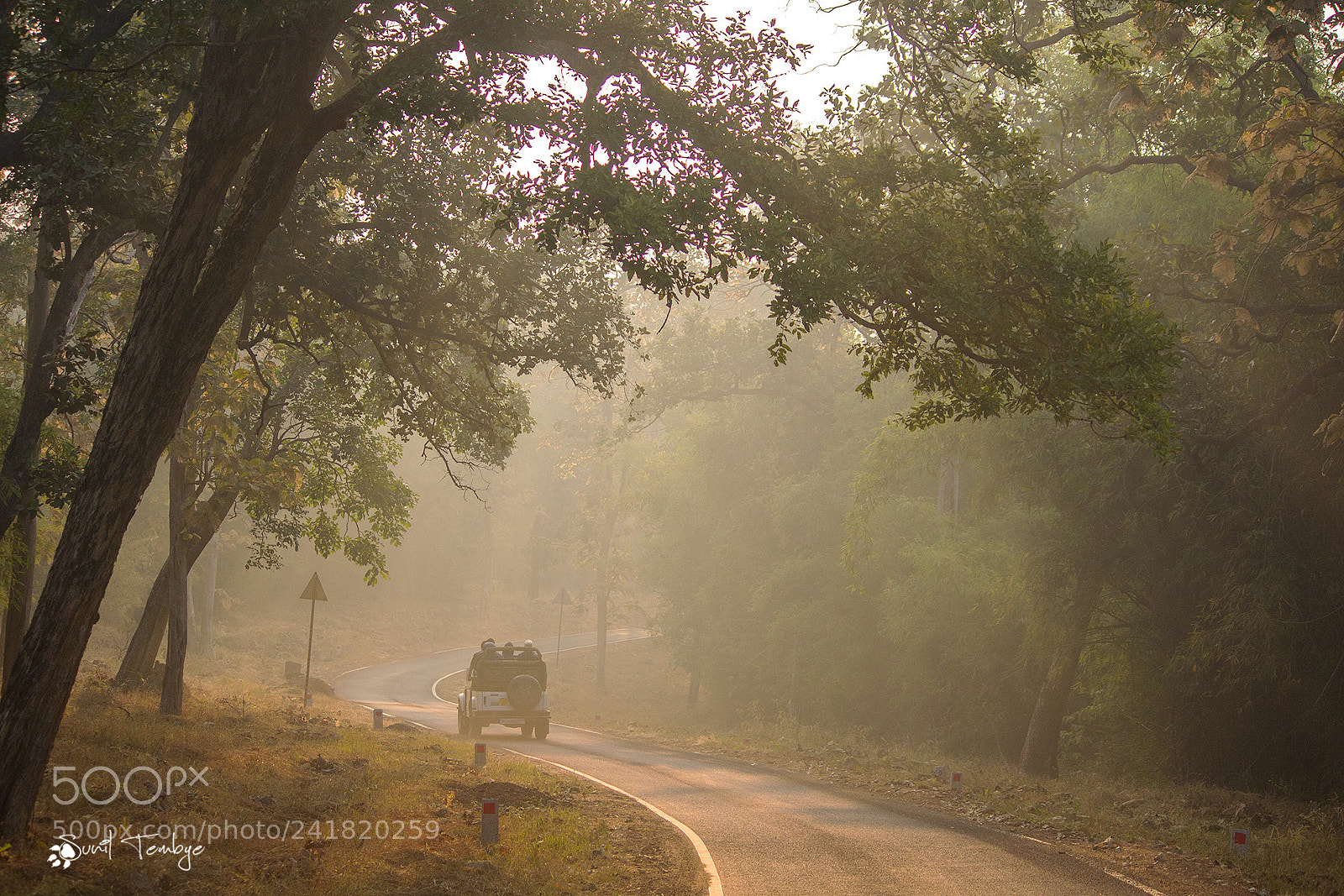 Canon EOS 60D sample photo. Misty morning photography