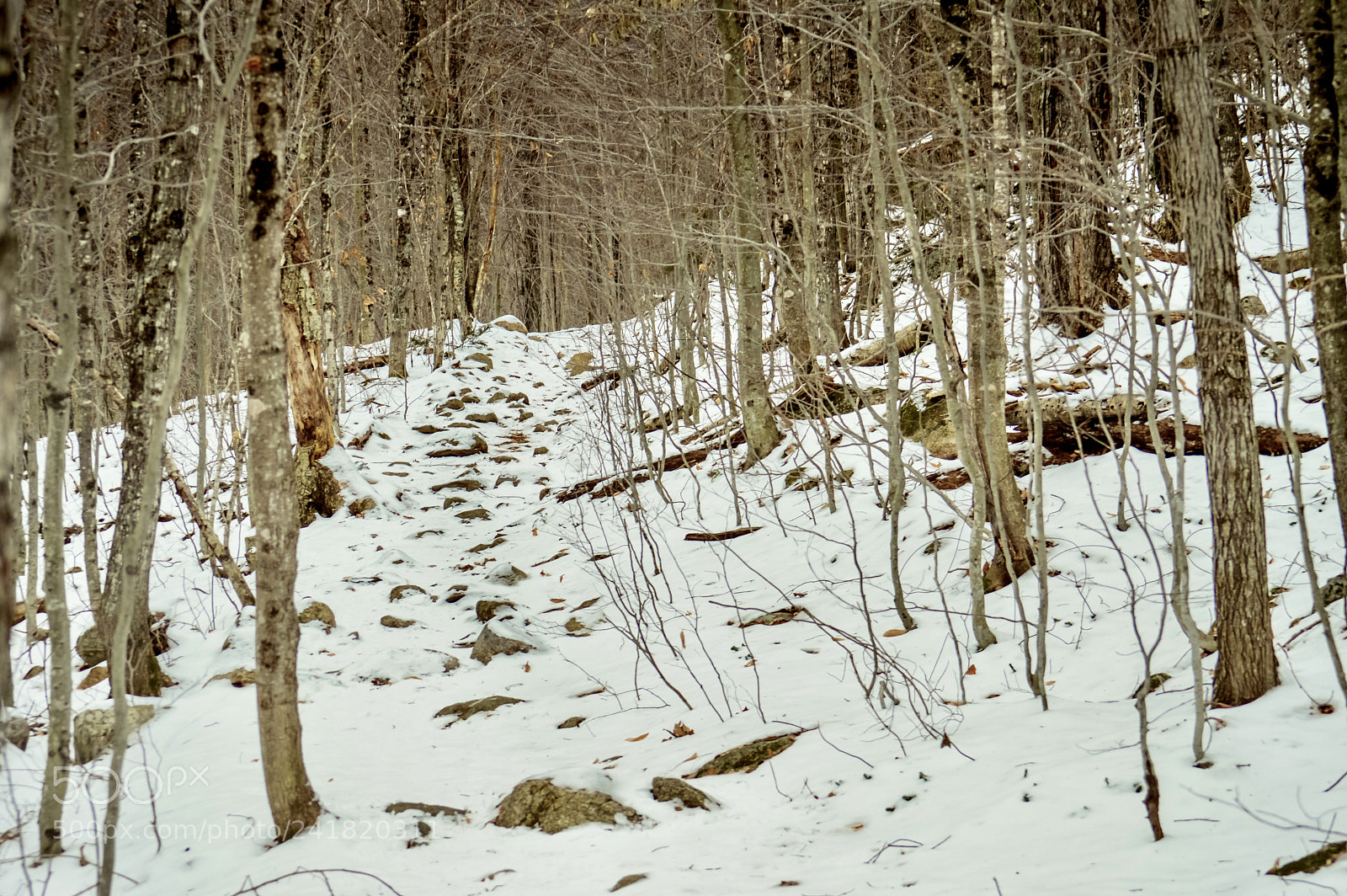 Nikon D3200 sample photo. Somewhere in new hampshire photography