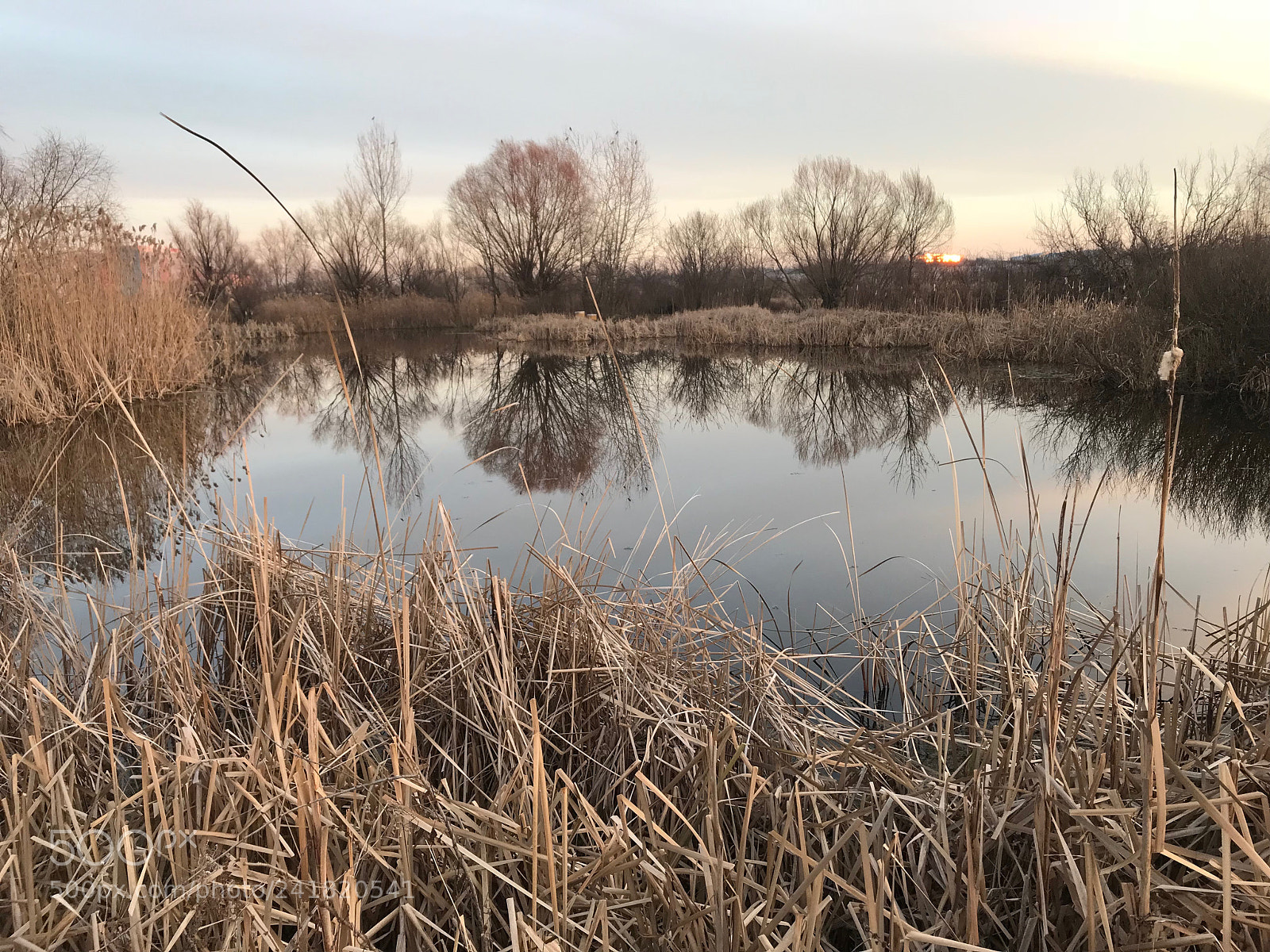 Apple iPhone 7 Plus sample photo. Sitting by the pond photography