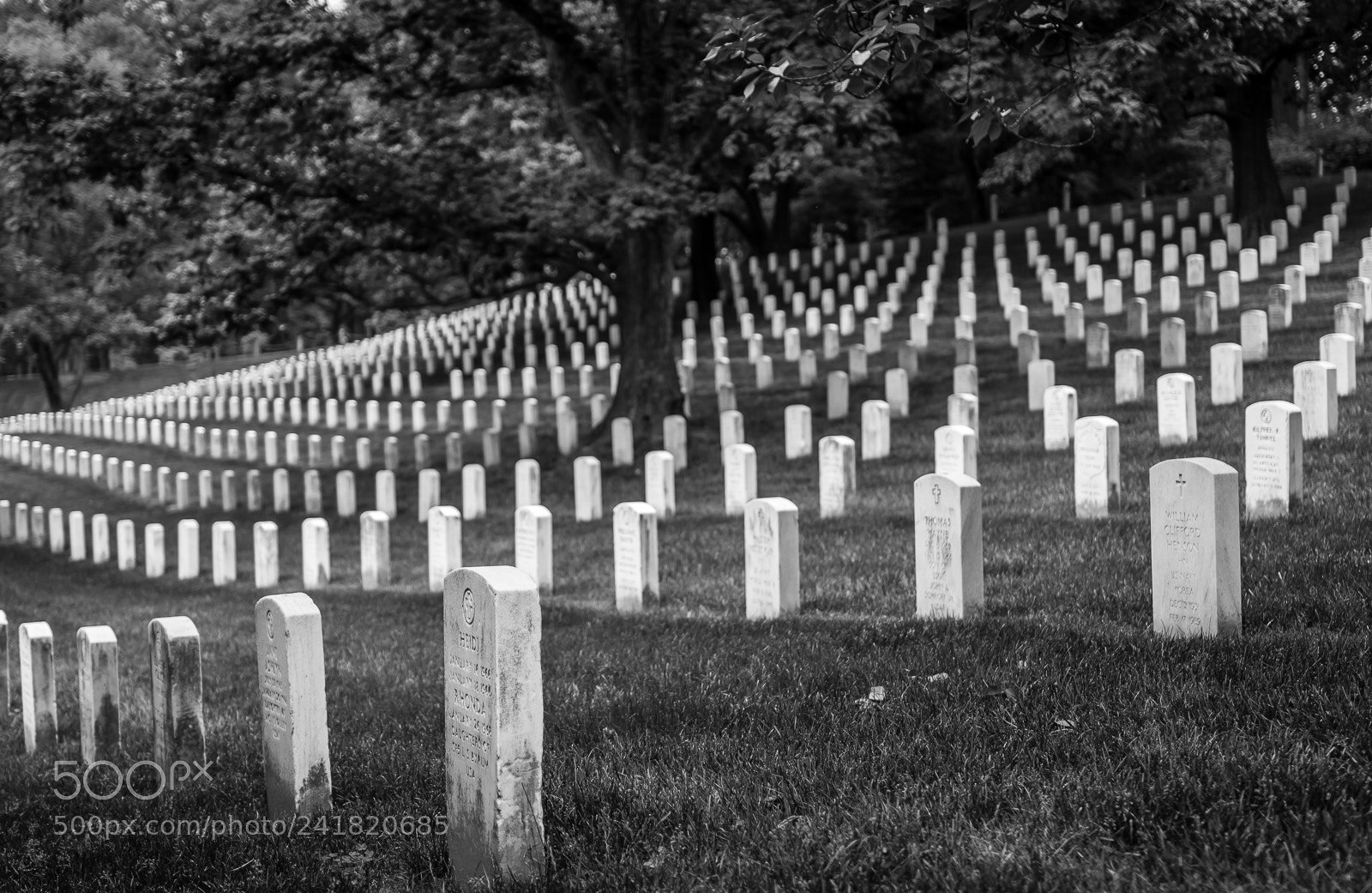 Canon EOS 550D (EOS Rebel T2i / EOS Kiss X4) sample photo. Arlington cemetary photography
