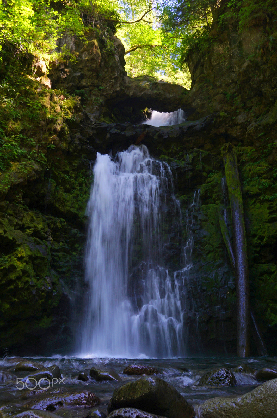 Sony a6000 + Sigma 19mm F2.8 EX DN sample photo. Curly creek falls from the base photography