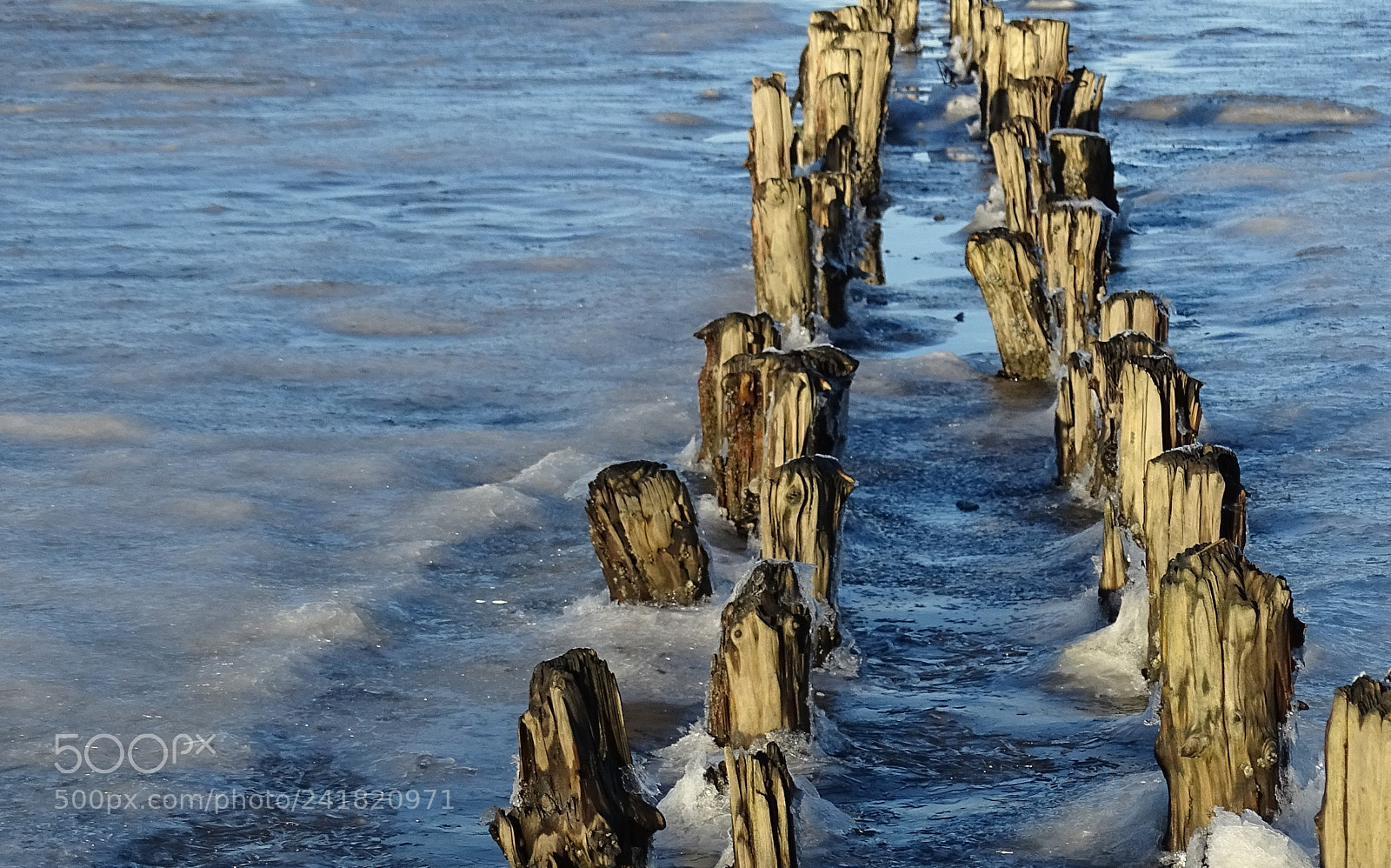 Sony Cyber-shot DSC-HX400V sample photo. Freezing photography