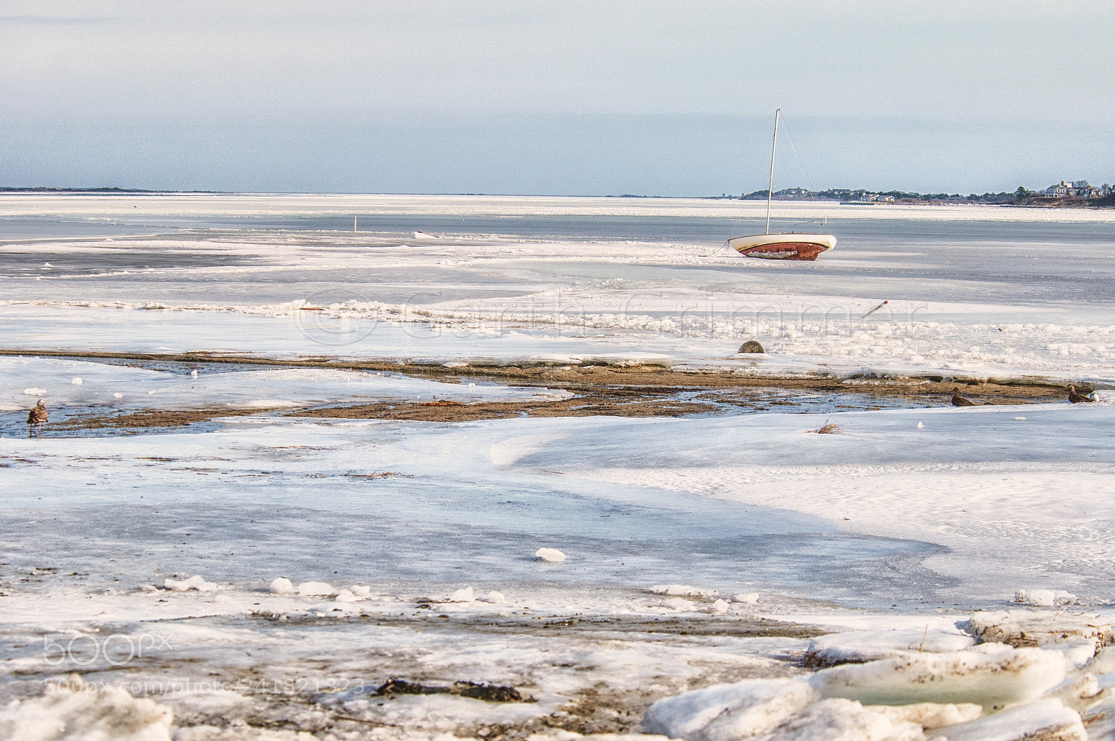 Nikon D300 sample photo. Ice bound photography