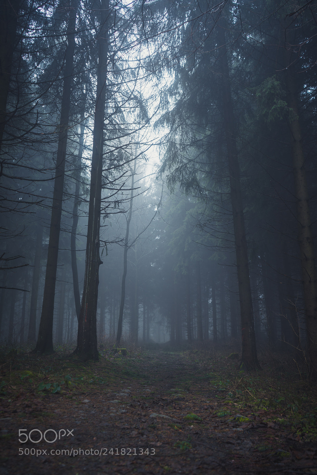 Sony a7R sample photo. Foggy day photography