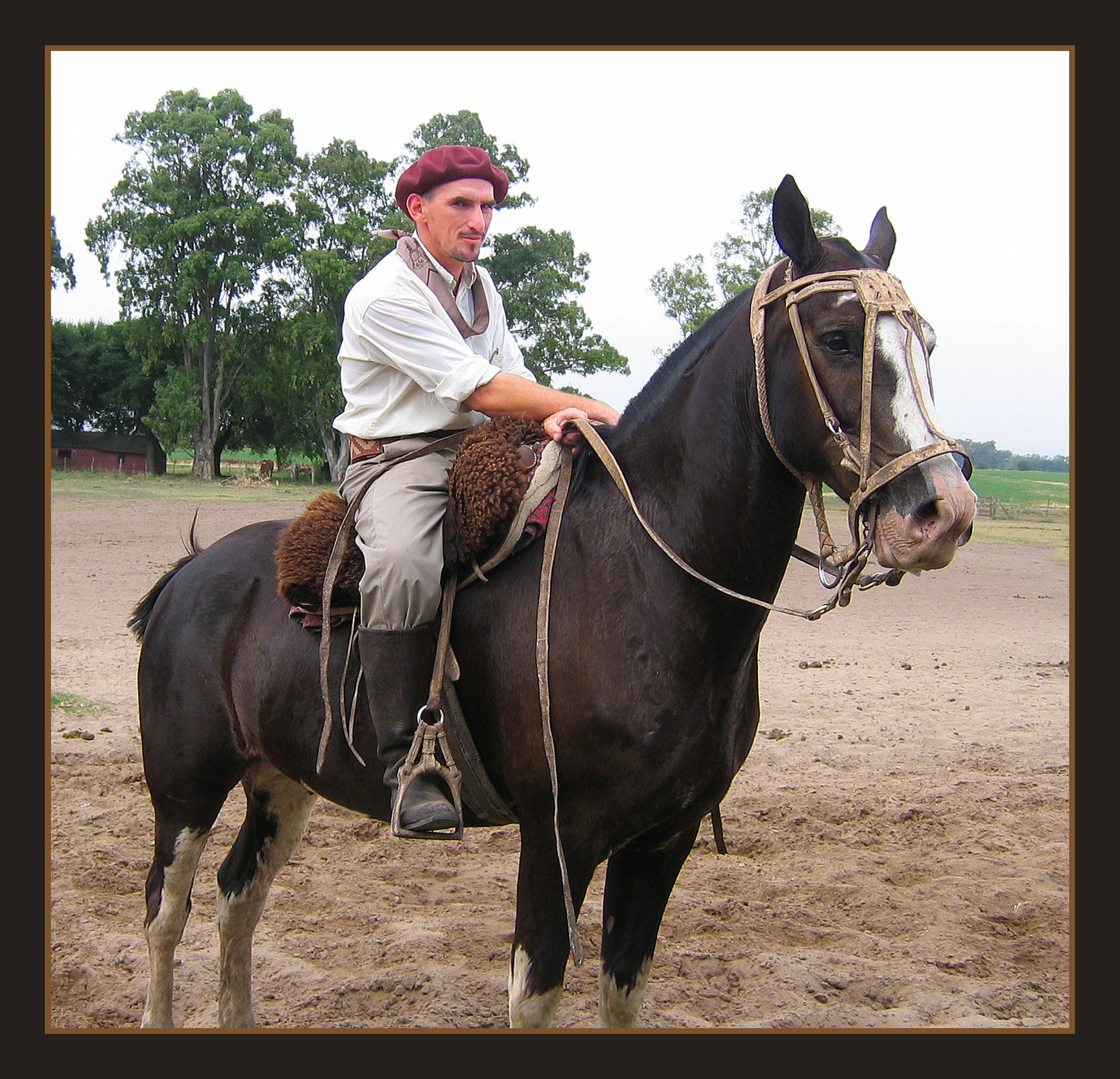 Canon POWERSHOT A80 sample photo. Gaucho on horseback photography