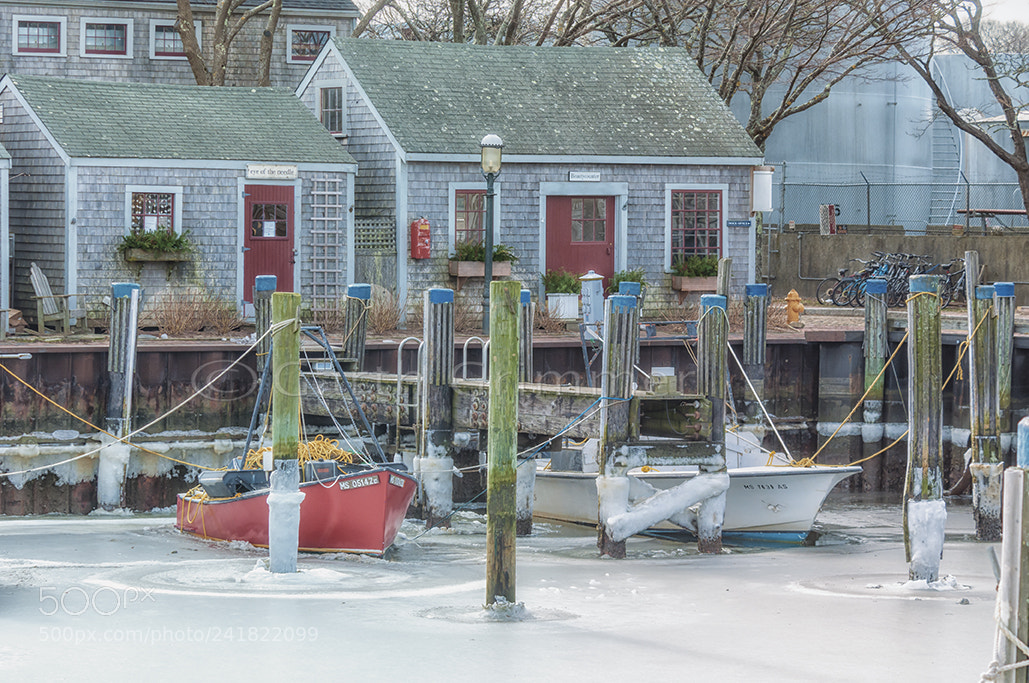 Nikon D300 sample photo. Too cold to fish photography