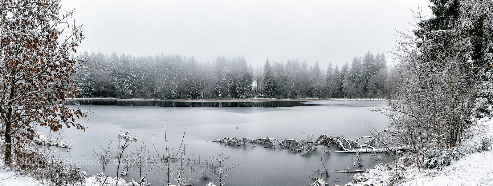 Nikon D810 sample photo. Peterstichel - frozen silence photography