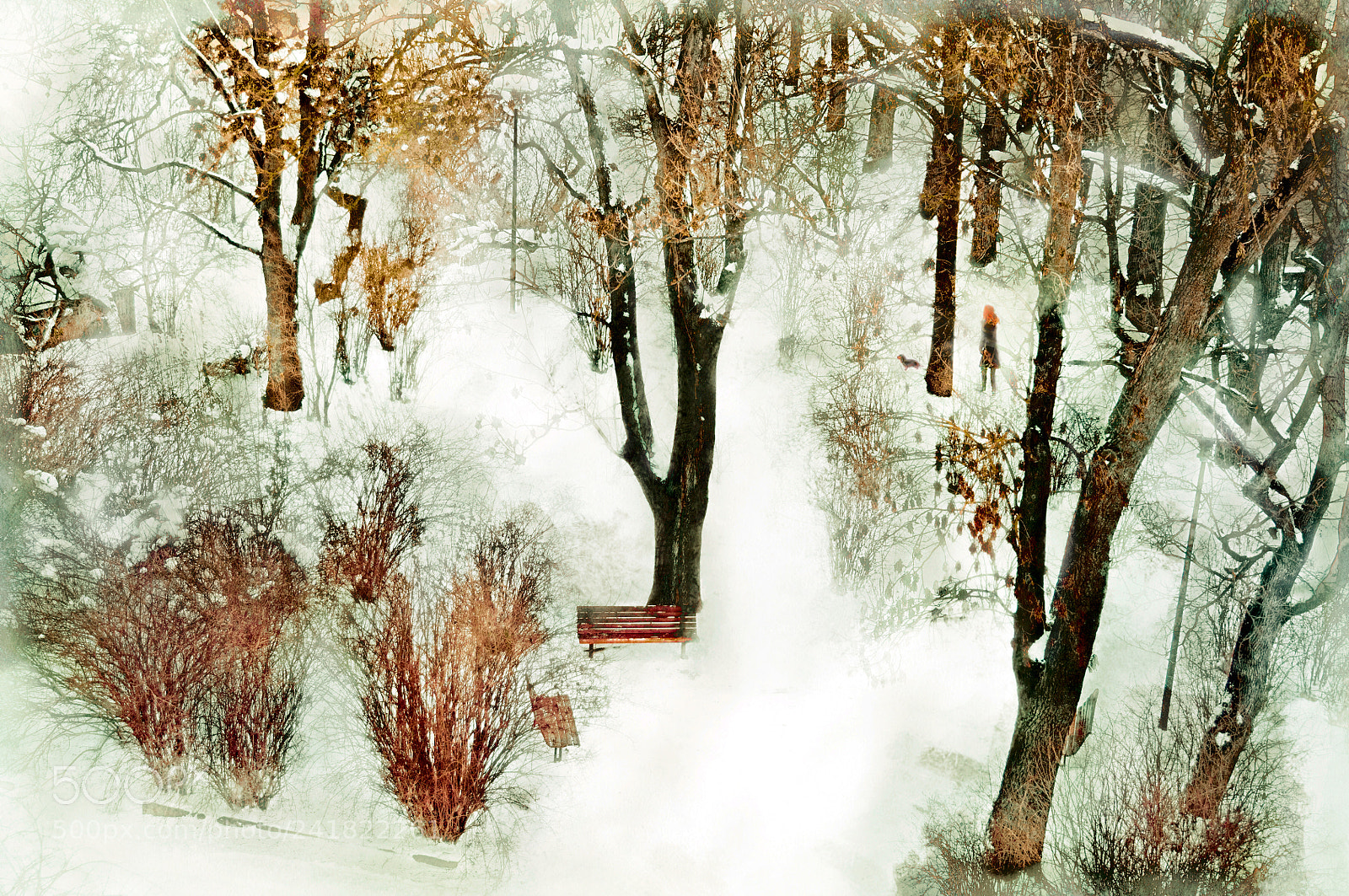 Nikon D90 sample photo. In the winter park... photography