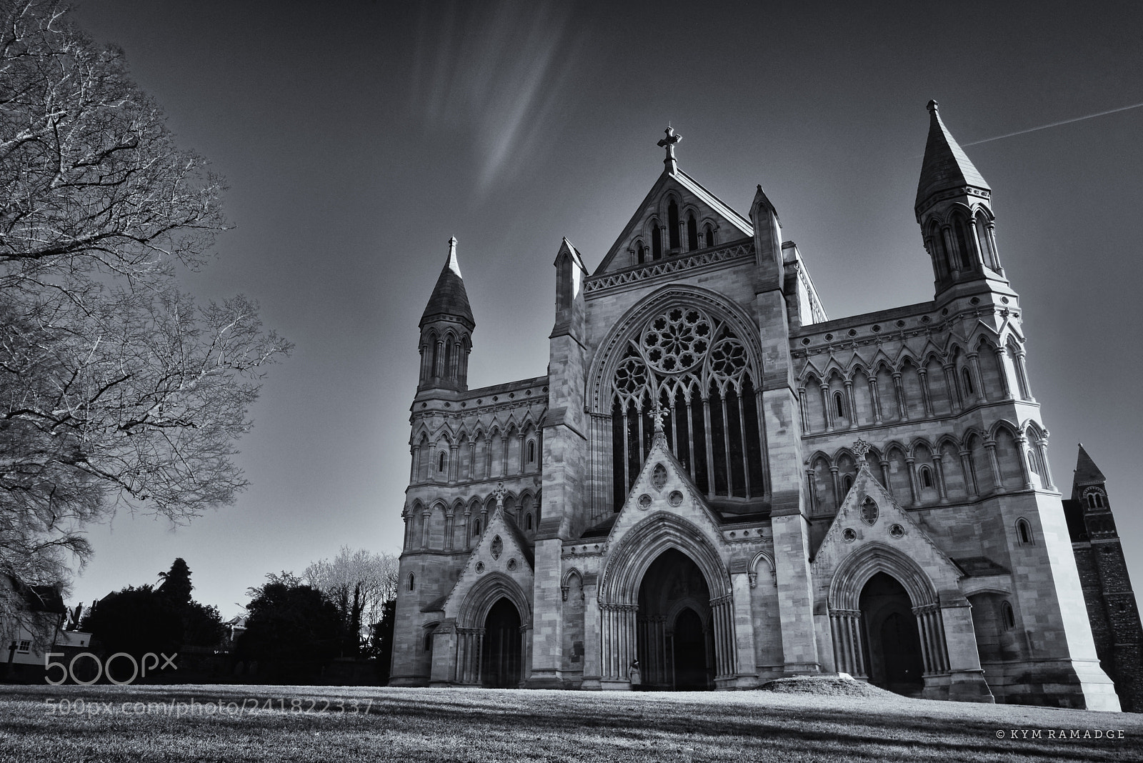 Nikon D750 sample photo. St albans cathedral photography