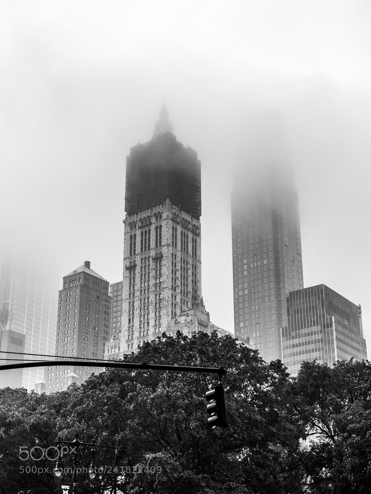 Canon EOS 550D (EOS Rebel T2i / EOS Kiss X4) sample photo. New york fog photography