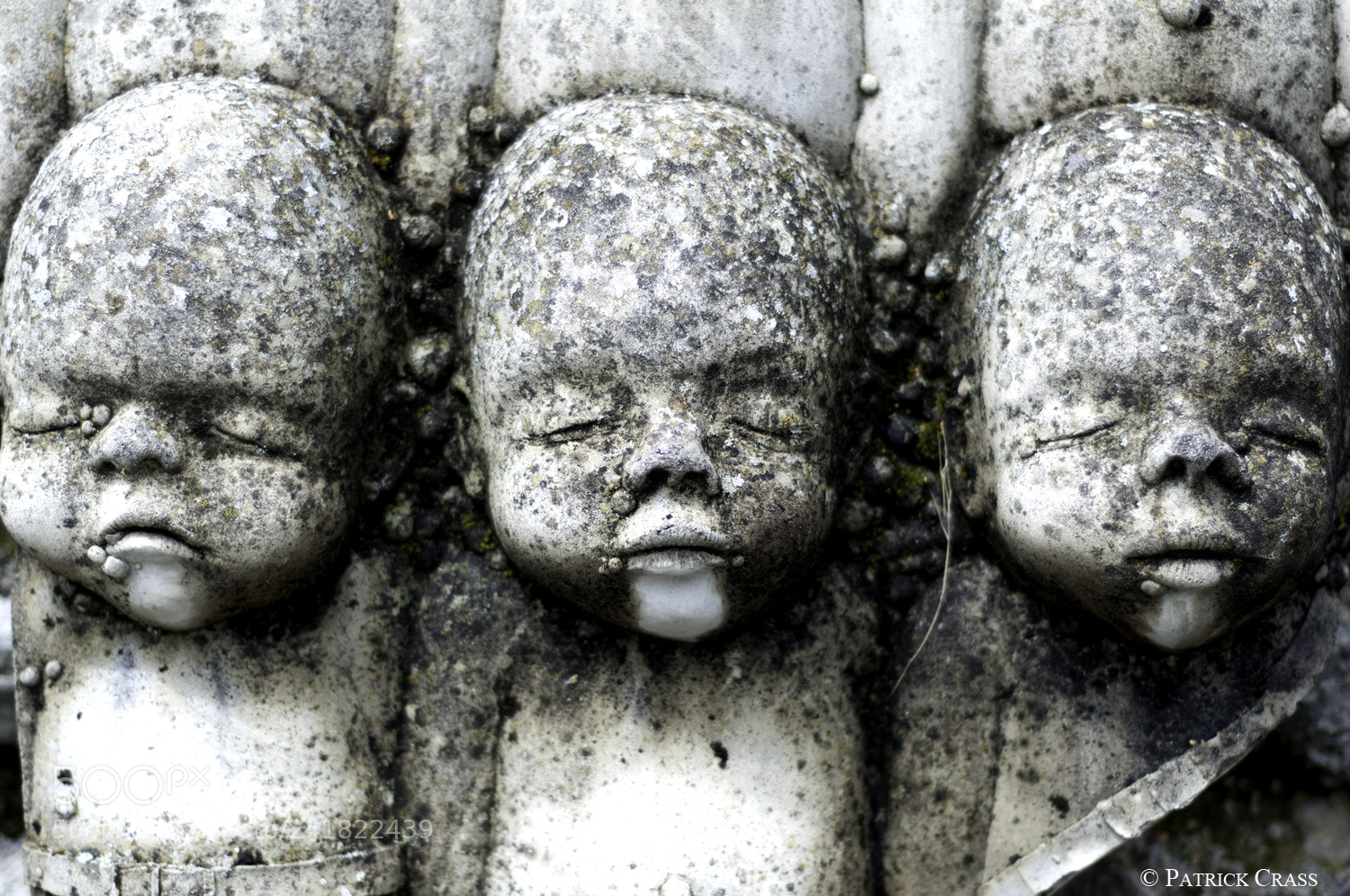 Nikon D90 sample photo. Dead born babies photography