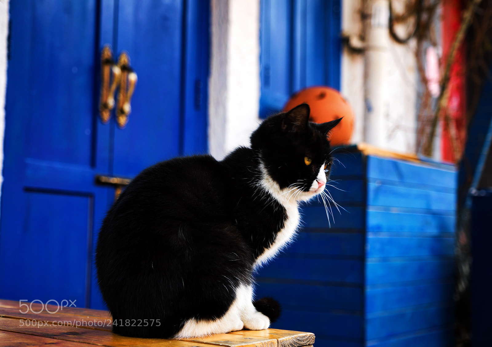 Fujifilm X-T2 sample photo. The custodian photography