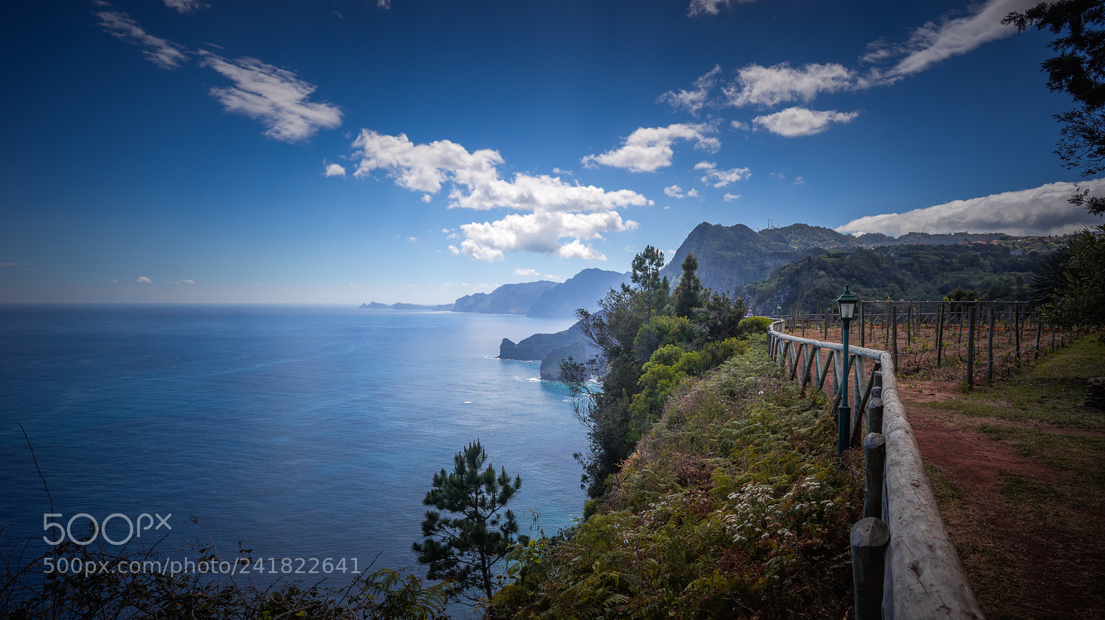 Sony a7 II sample photo. The magic of madeira photography