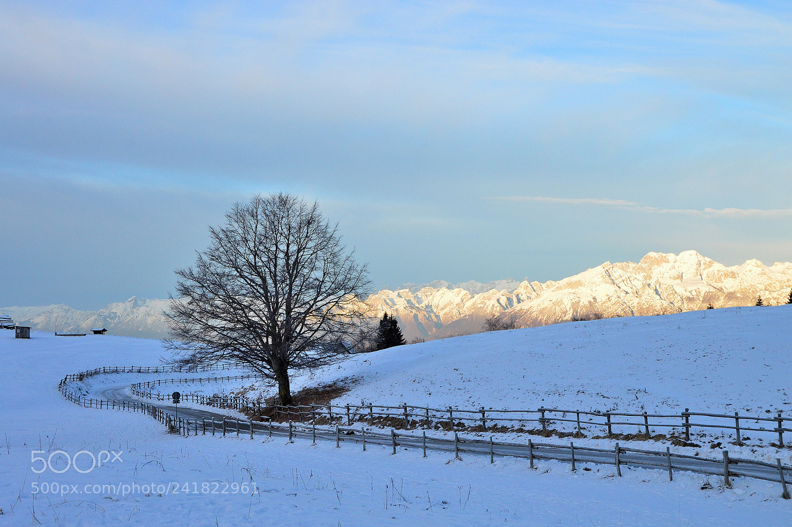 Nikon D3200 sample photo. Col indes photography