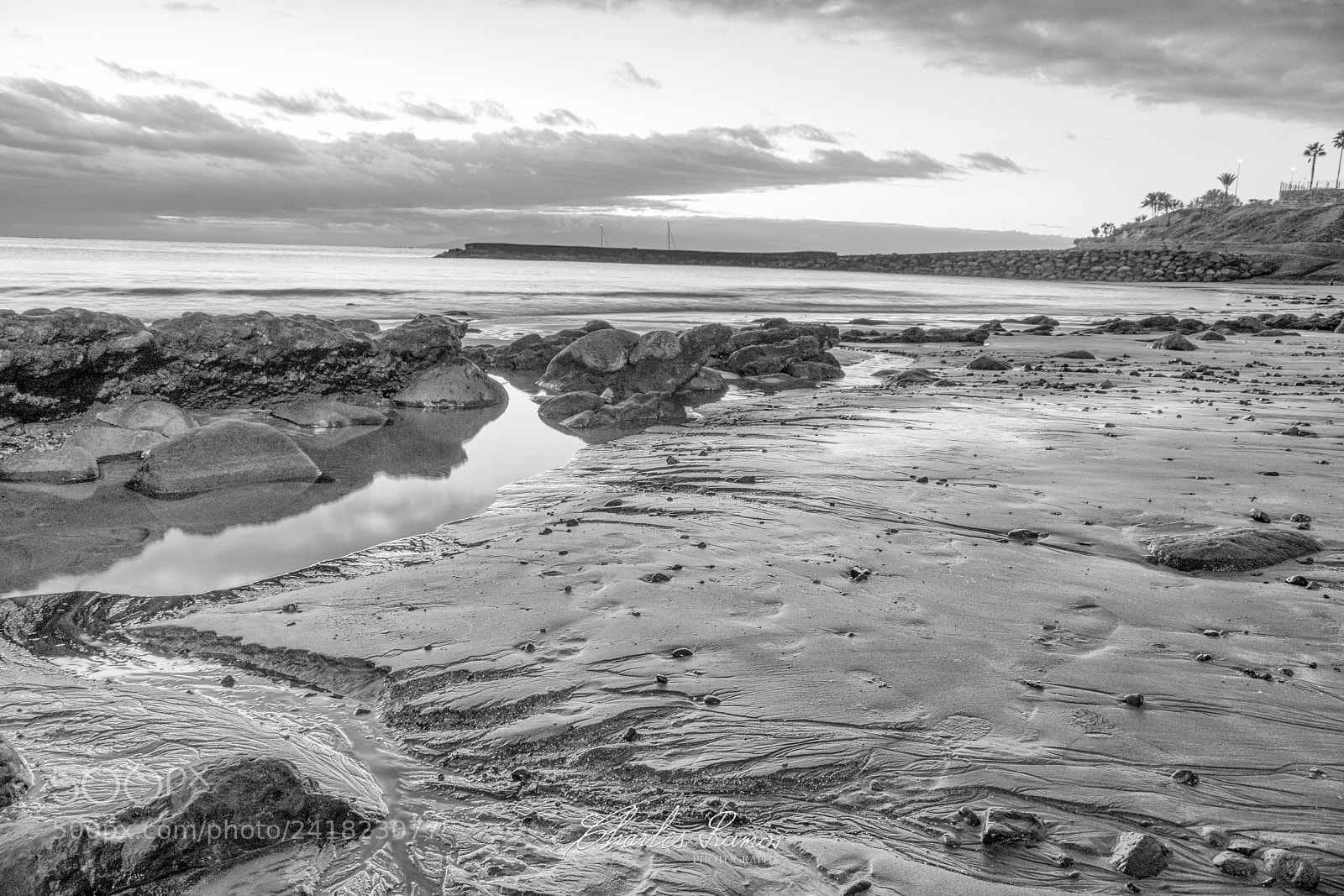 Nikon D500 sample photo. Traces photography