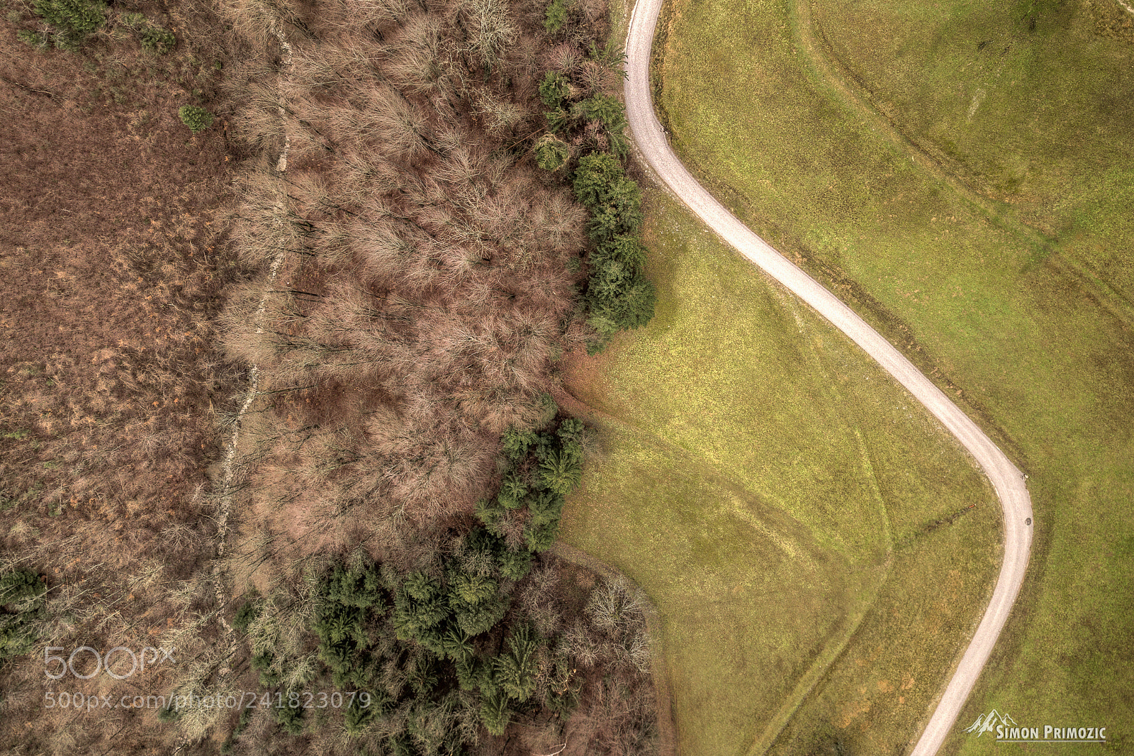 DJI FC220 sample photo. Curve photography