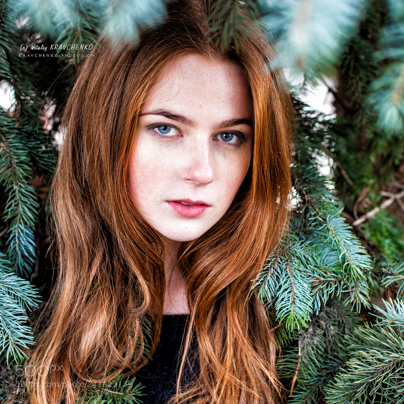 Canon EOS 5D sample photo. Red & green photography