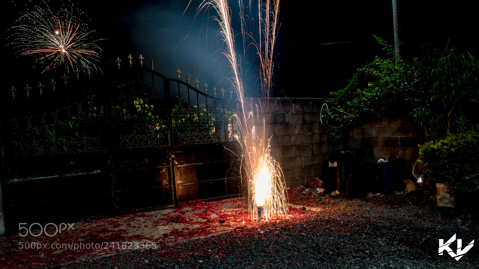 Nikon D5500 sample photo. Untitled photography