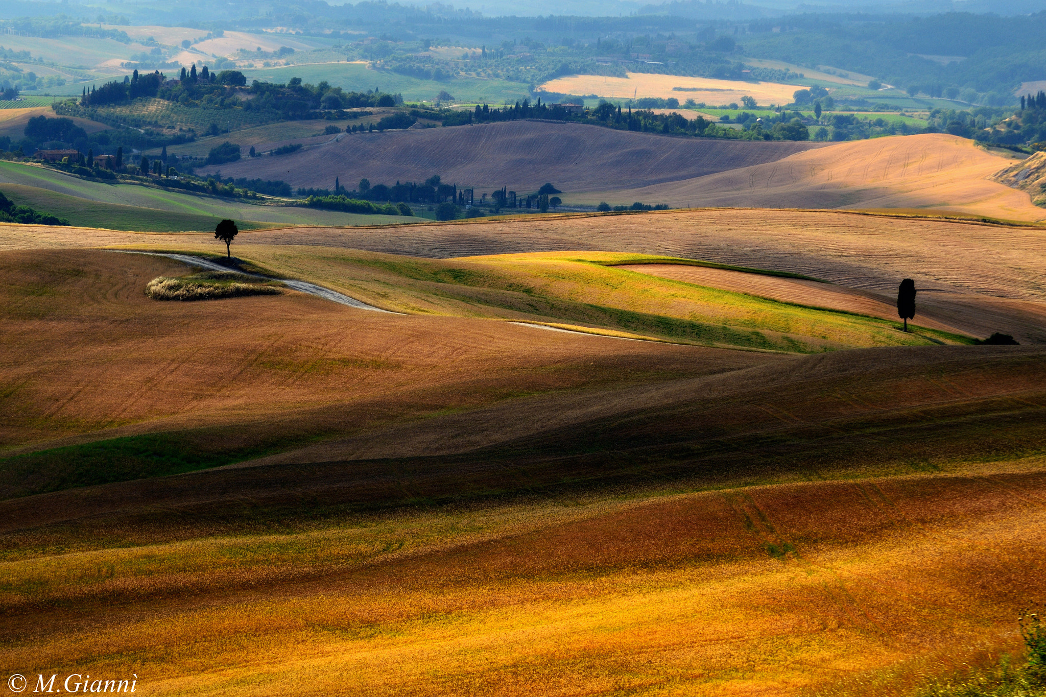 Nikon D3100 + Tamron SP 70-300mm F4-5.6 Di VC USD sample photo. Colors of crete senesi photography