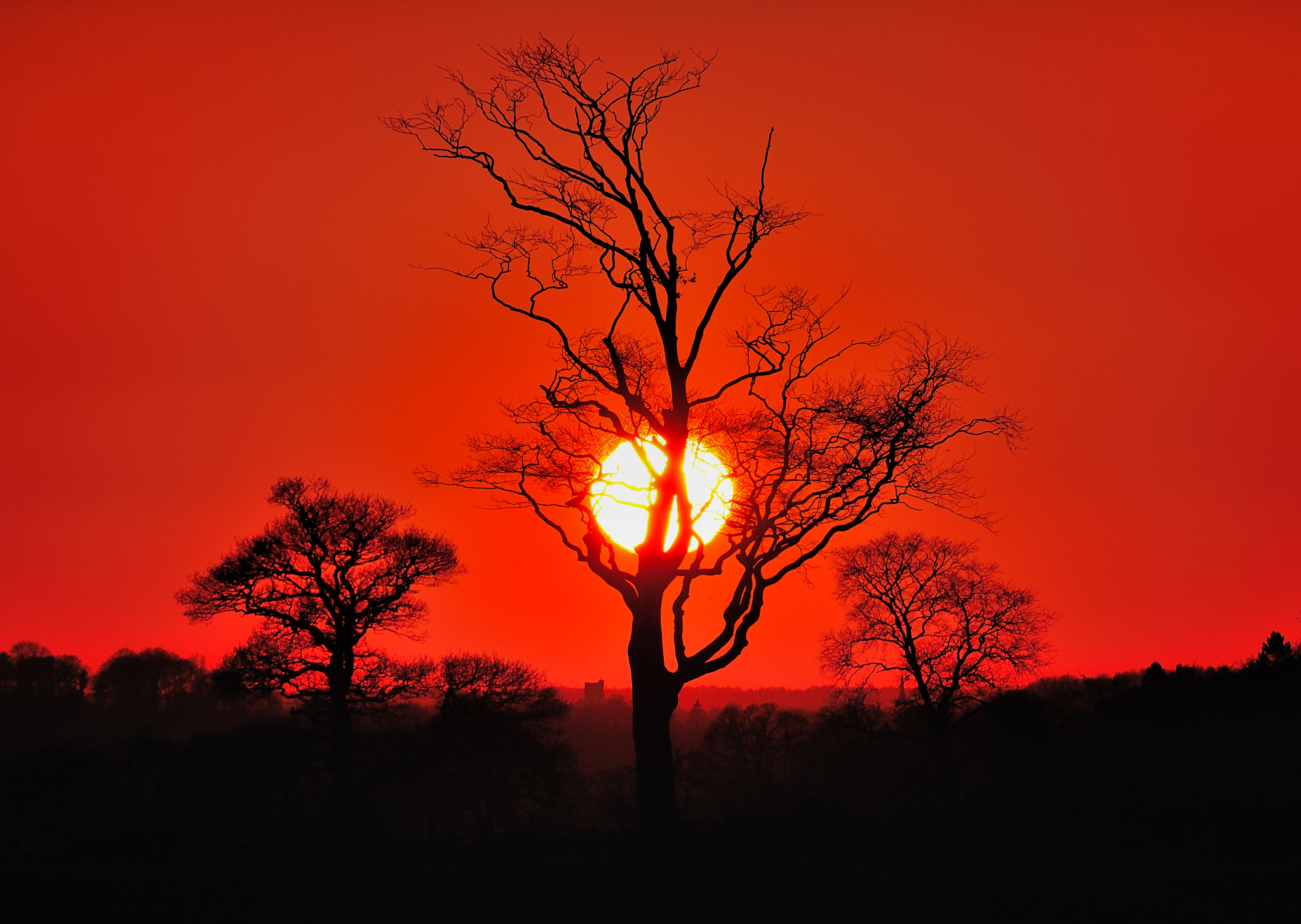 Nikon D700 sample photo. January sunset photography