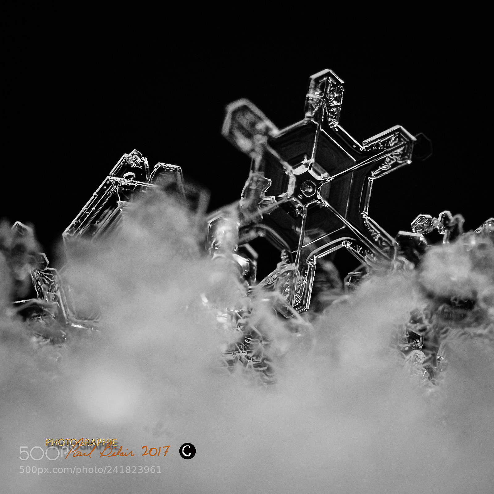 Nikon D7100 sample photo. Neige par -13 c photography