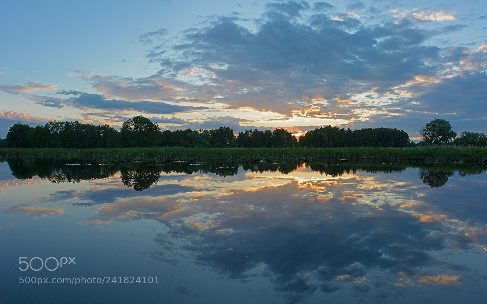 Nikon D7100 sample photo. Summer evening photography