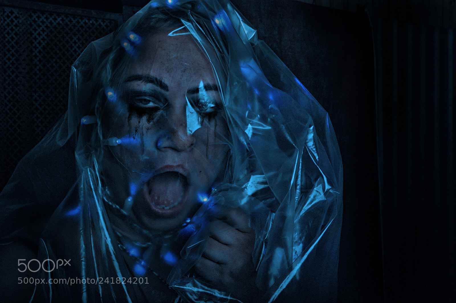 Nikon D700 sample photo. Blue photography