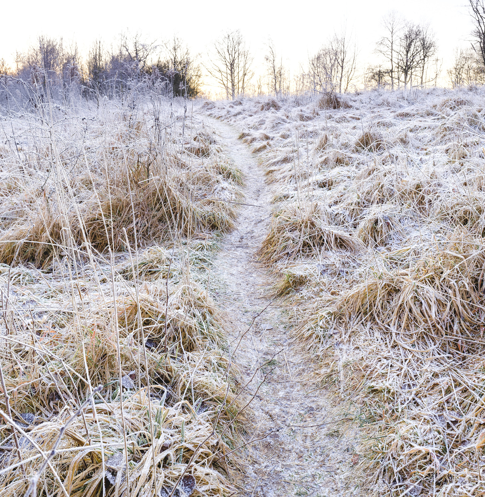 Fujifilm X-T20 sample photo. Frozen path photography