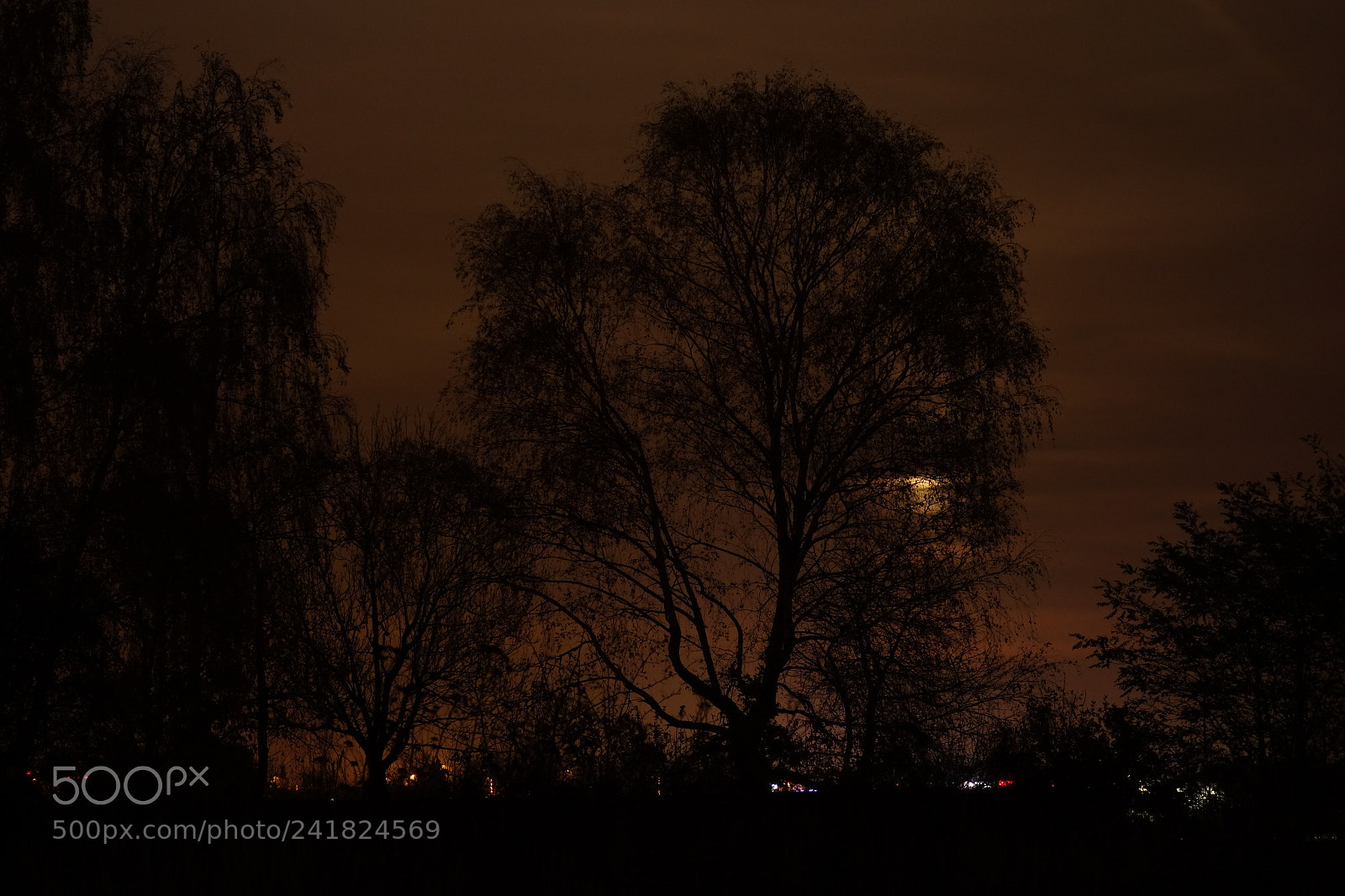 Sony Cyber-shot DSC-RX100 sample photo. Moonlight + city light photography