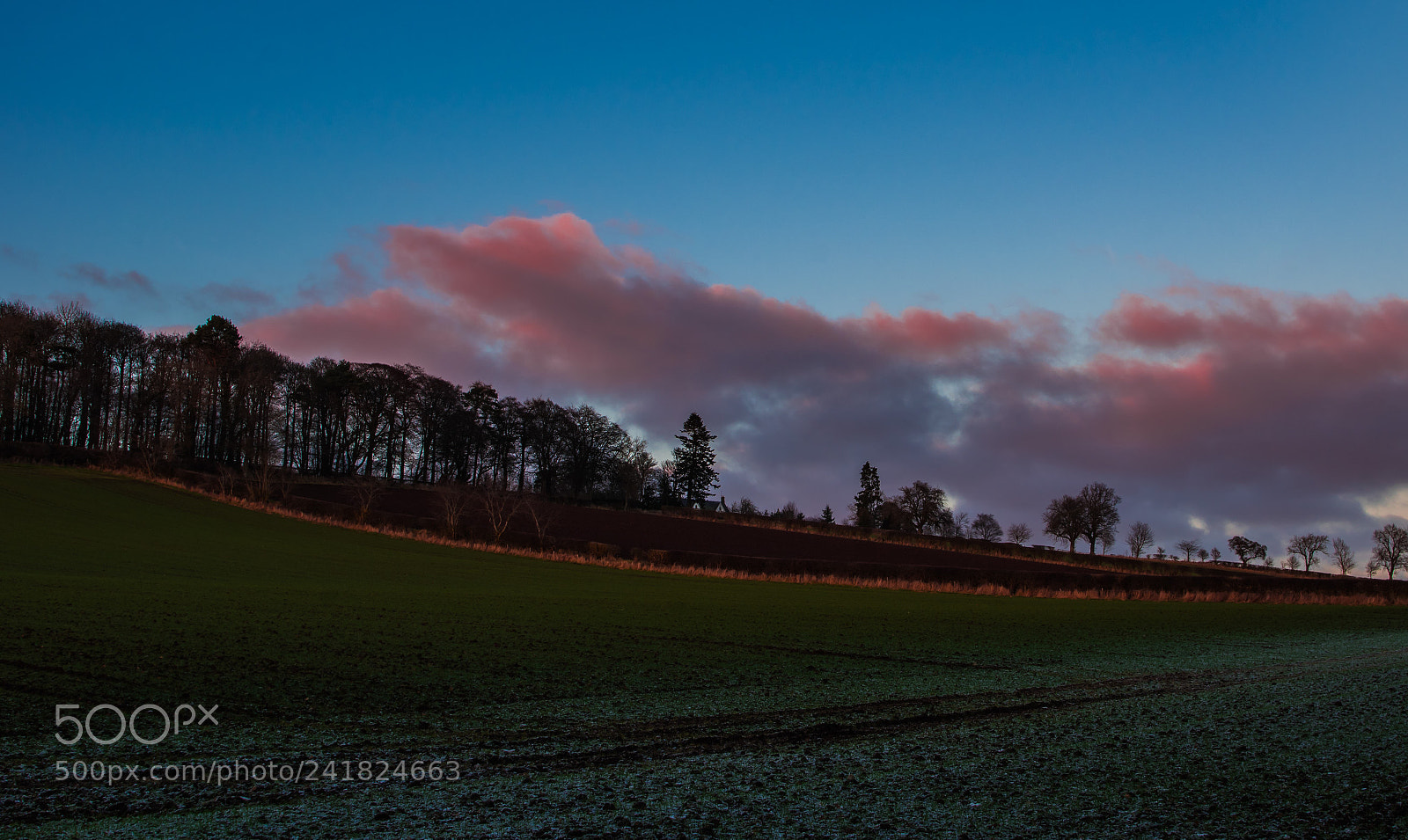 Pentax K-3 sample photo. Field cloud colour photography