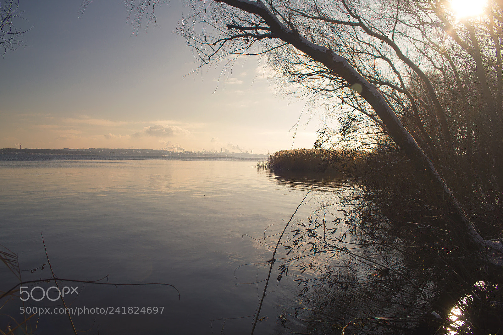 Canon EOS 60D sample photo. Winter morning photography