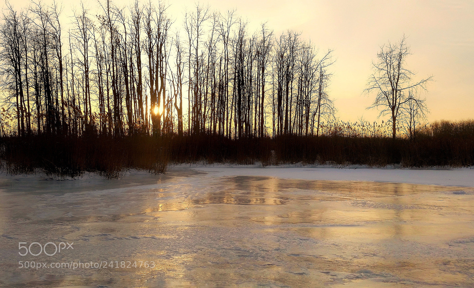 Samsung Galaxy S5 sample photo. January pond photography
