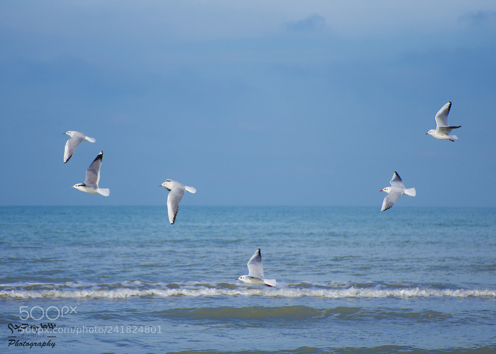 Nikon D7200 sample photo. Mass flight photography