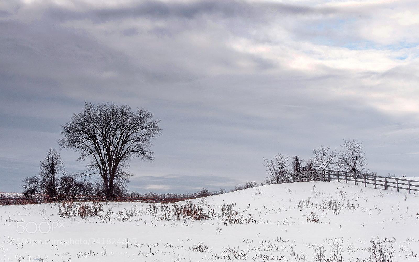 Nikon D5 sample photo. Farm landscape photography