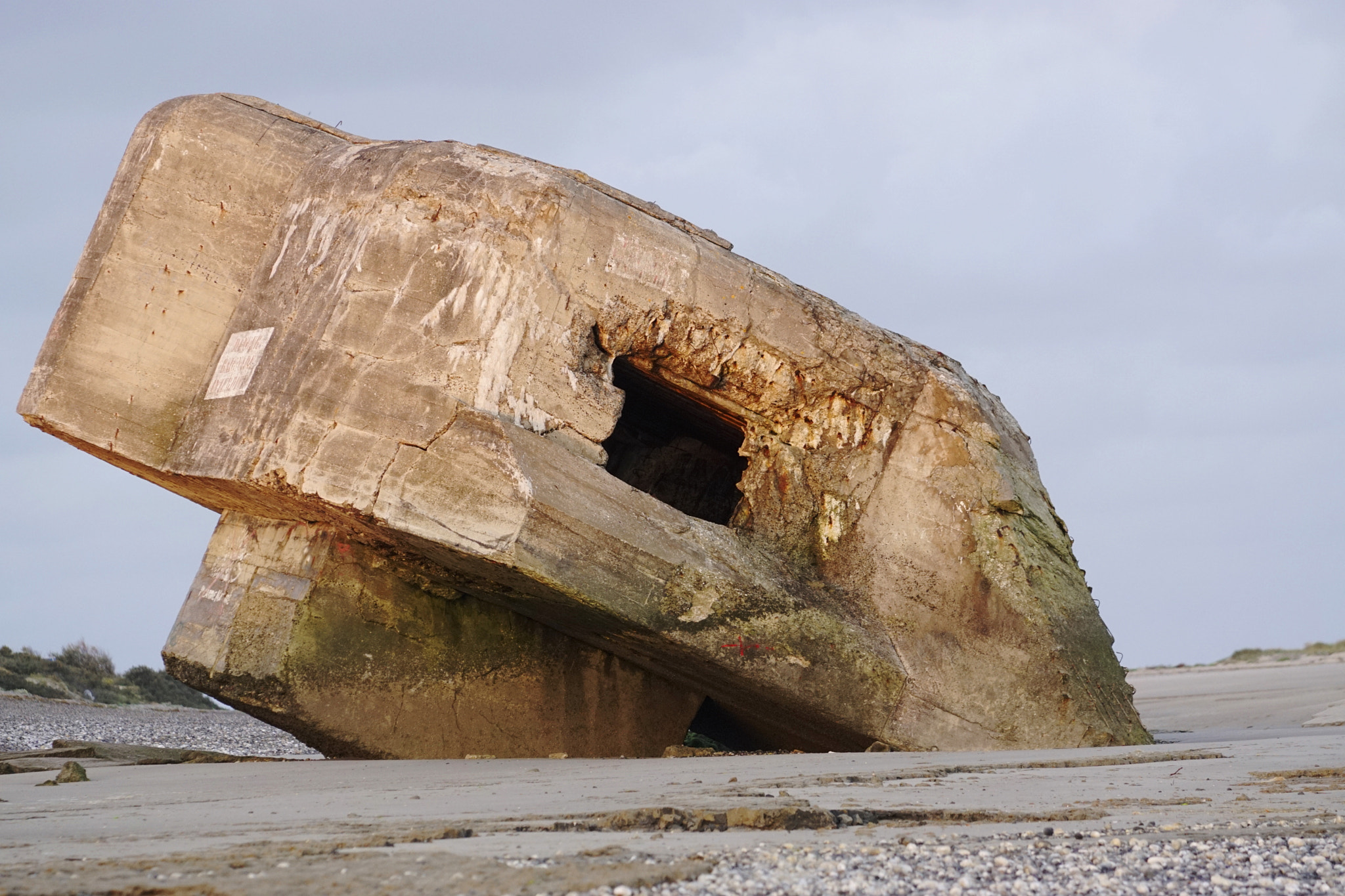 Sony ILCA-77M2 + Minolta/Sony AF 70-200mm F2.8 G sample photo. A   sea   monster             bunker photography