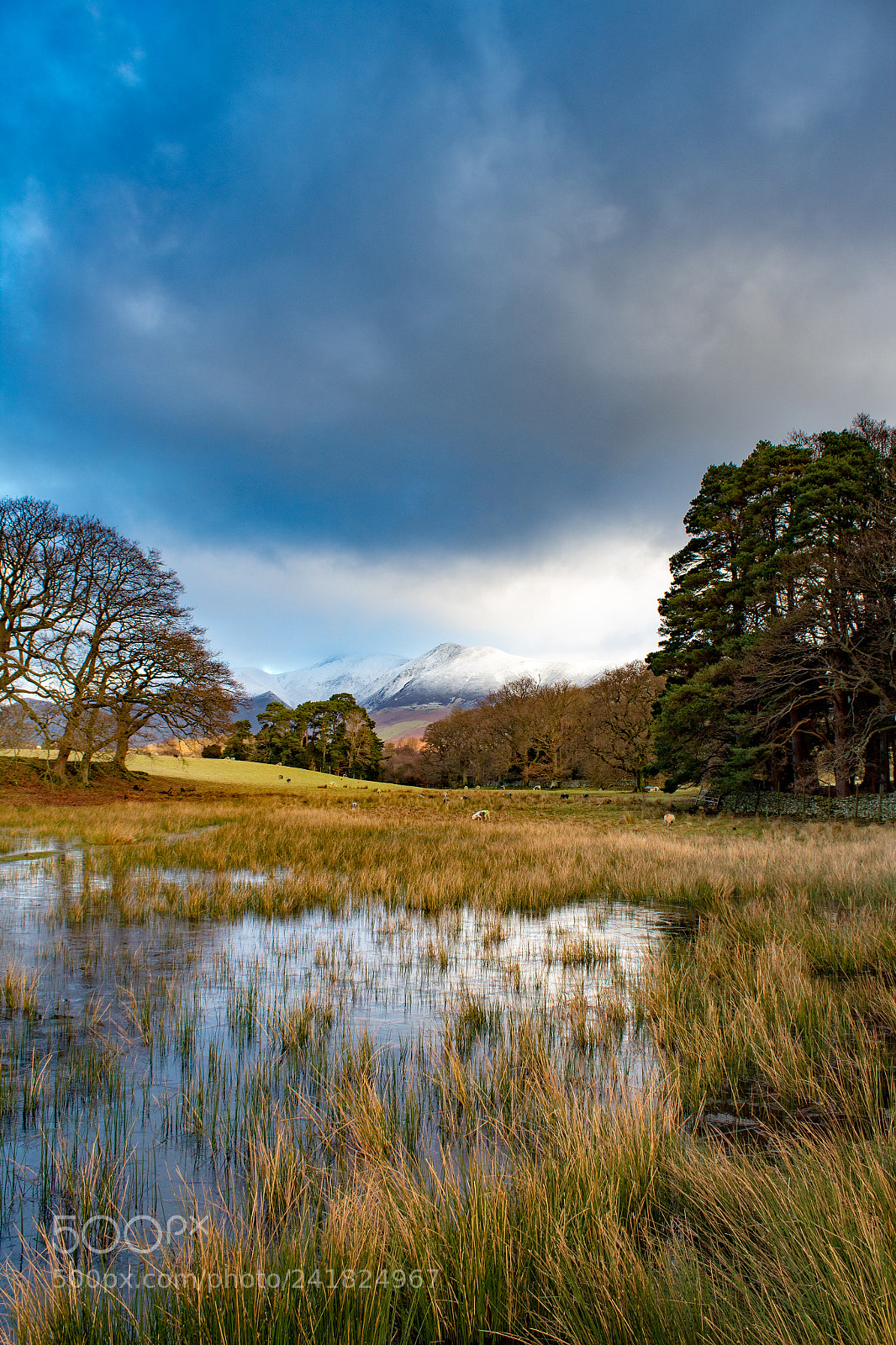 Canon EOS 1300D (EOS Rebel T6 / EOS Kiss X80) sample photo. Flooded meadow with mountains photography