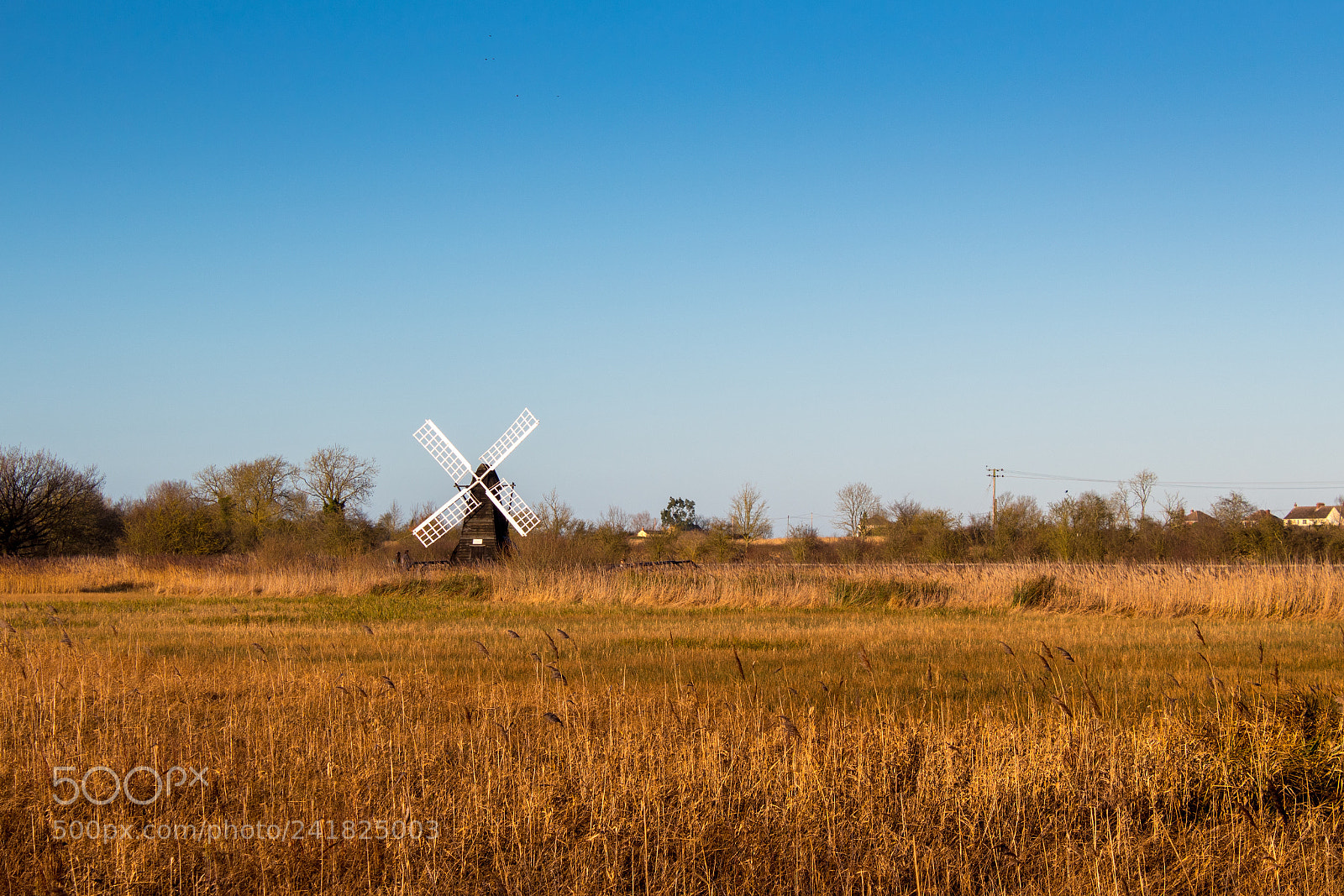 Canon EOS 1300D (EOS Rebel T6 / EOS Kiss X80) sample photo. Windmill in wicken fen photography