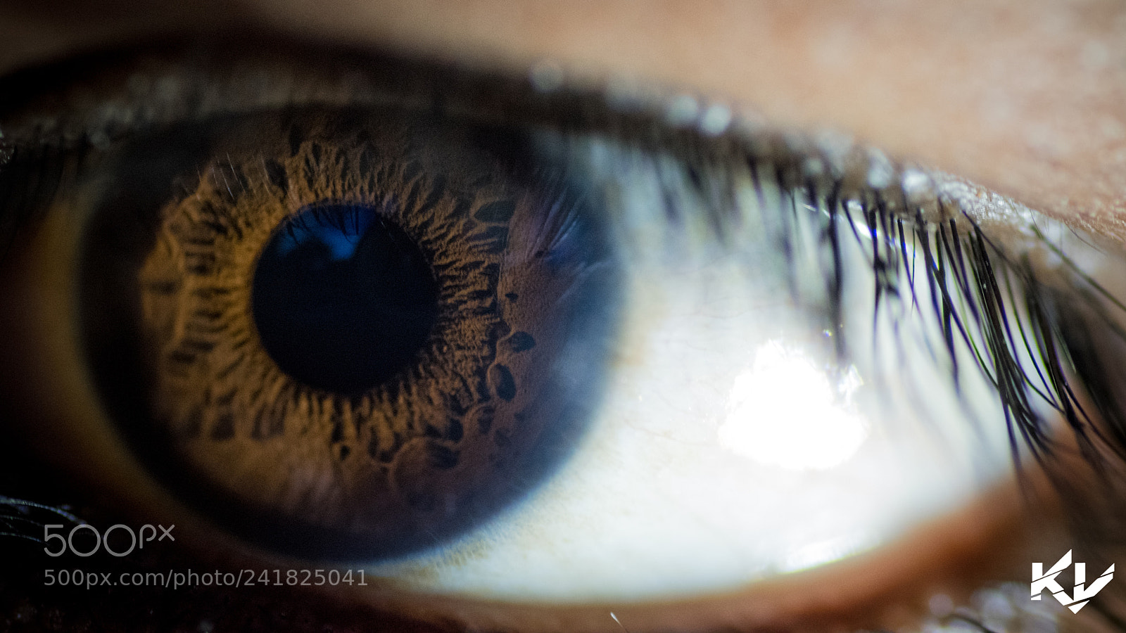 Nikon D5500 sample photo. Eye photography photography